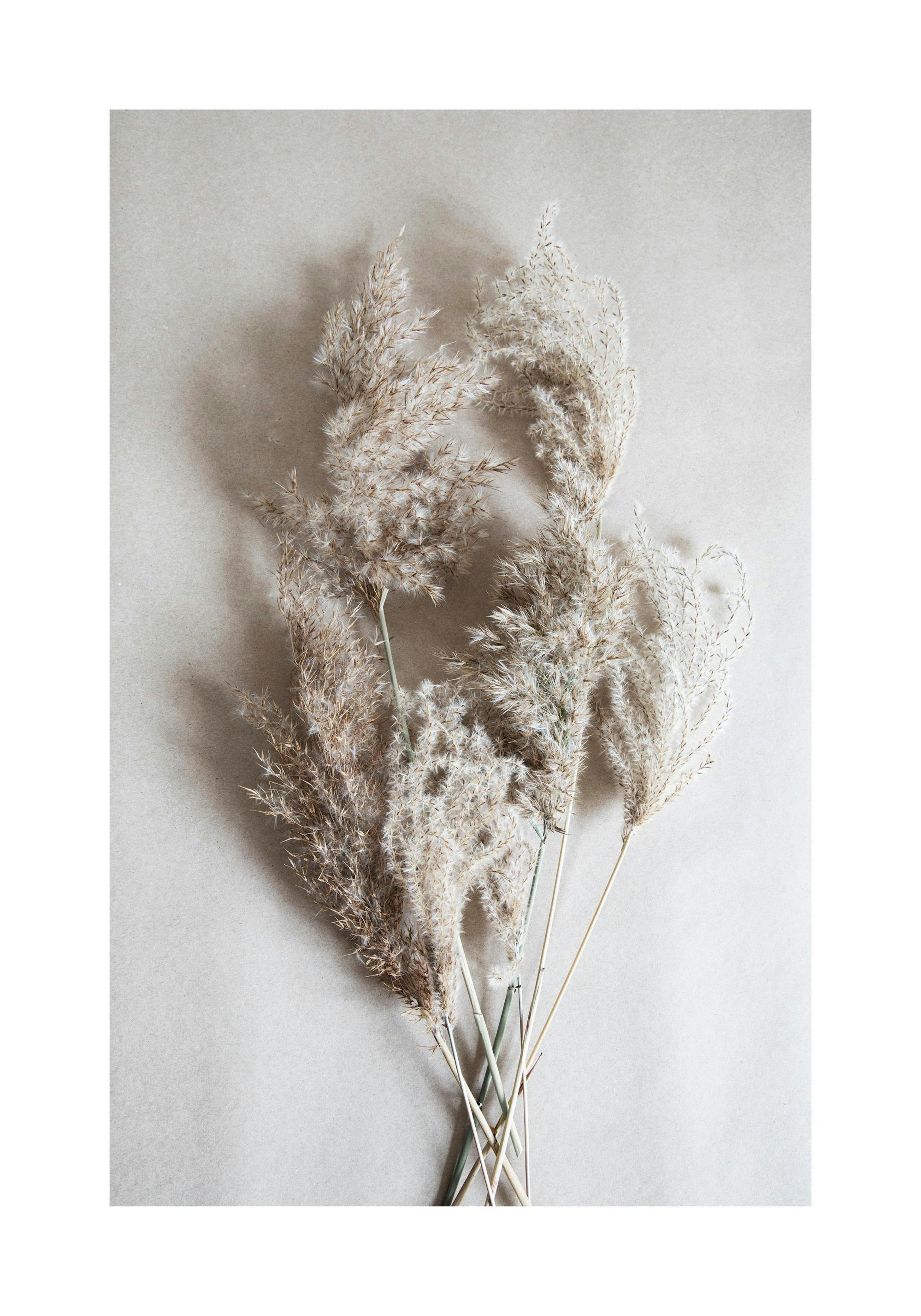 Bouquet of Autumn Reeds Poster