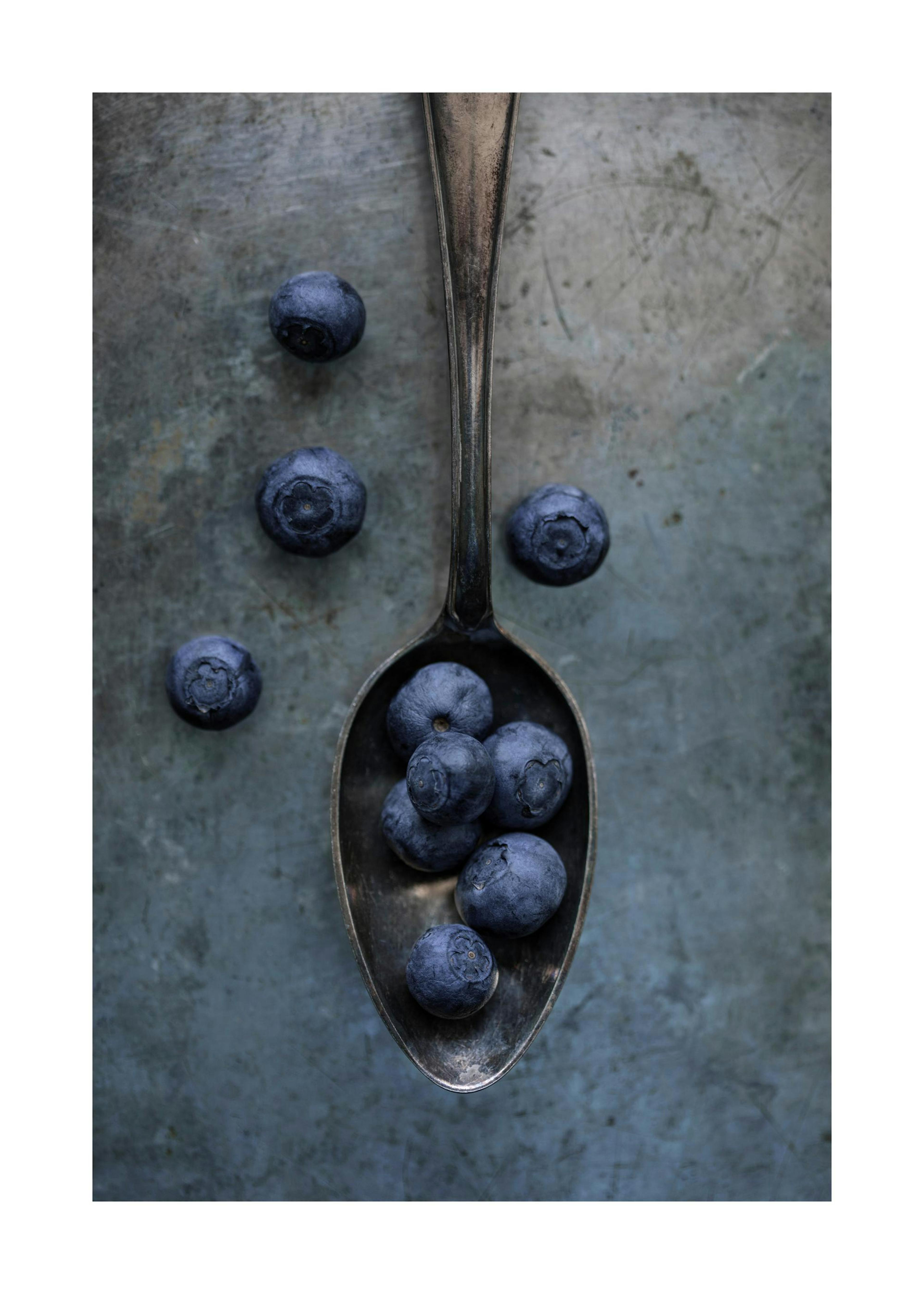 Sweet Blueberries Print 0