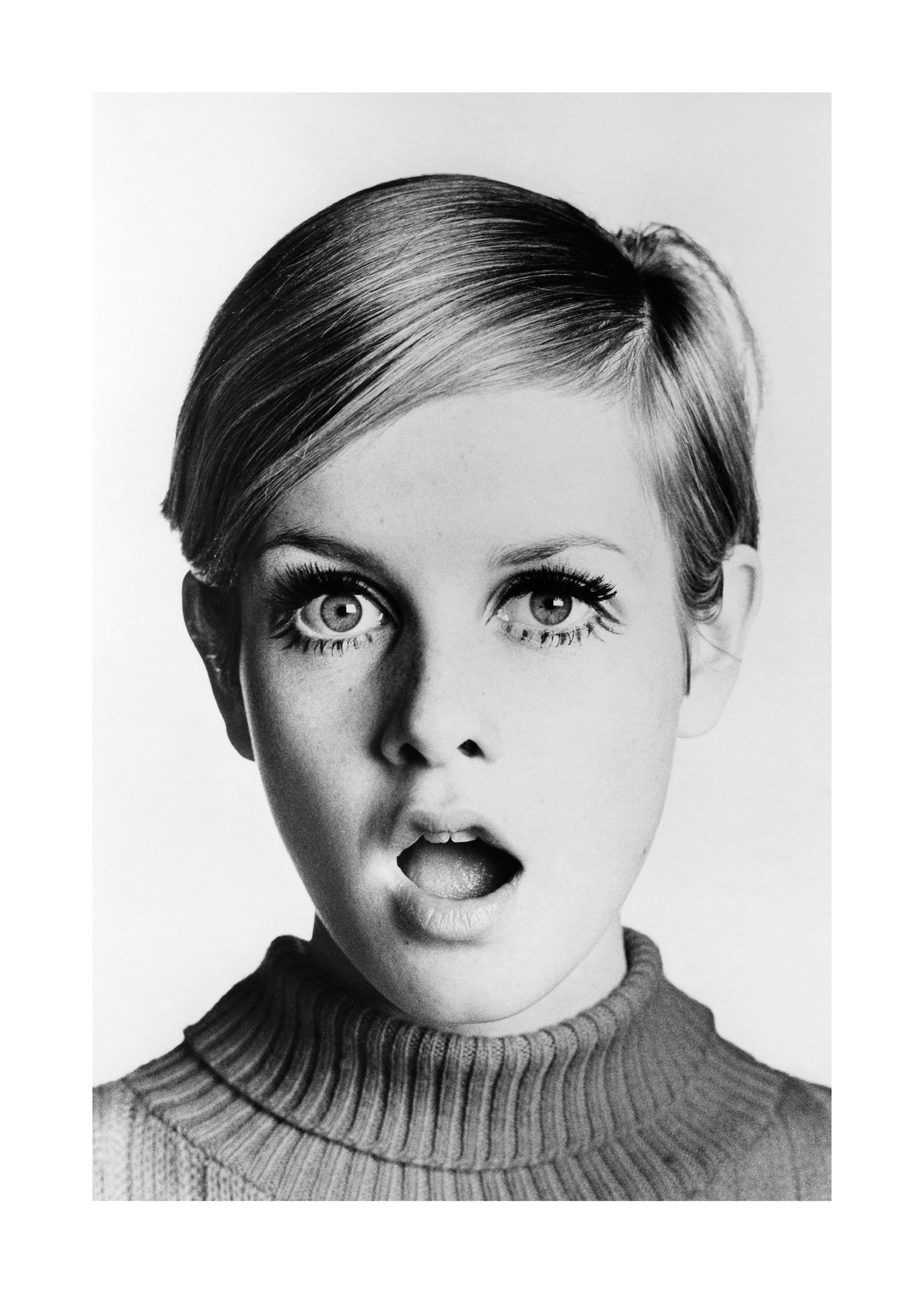 Twiggy Print 0