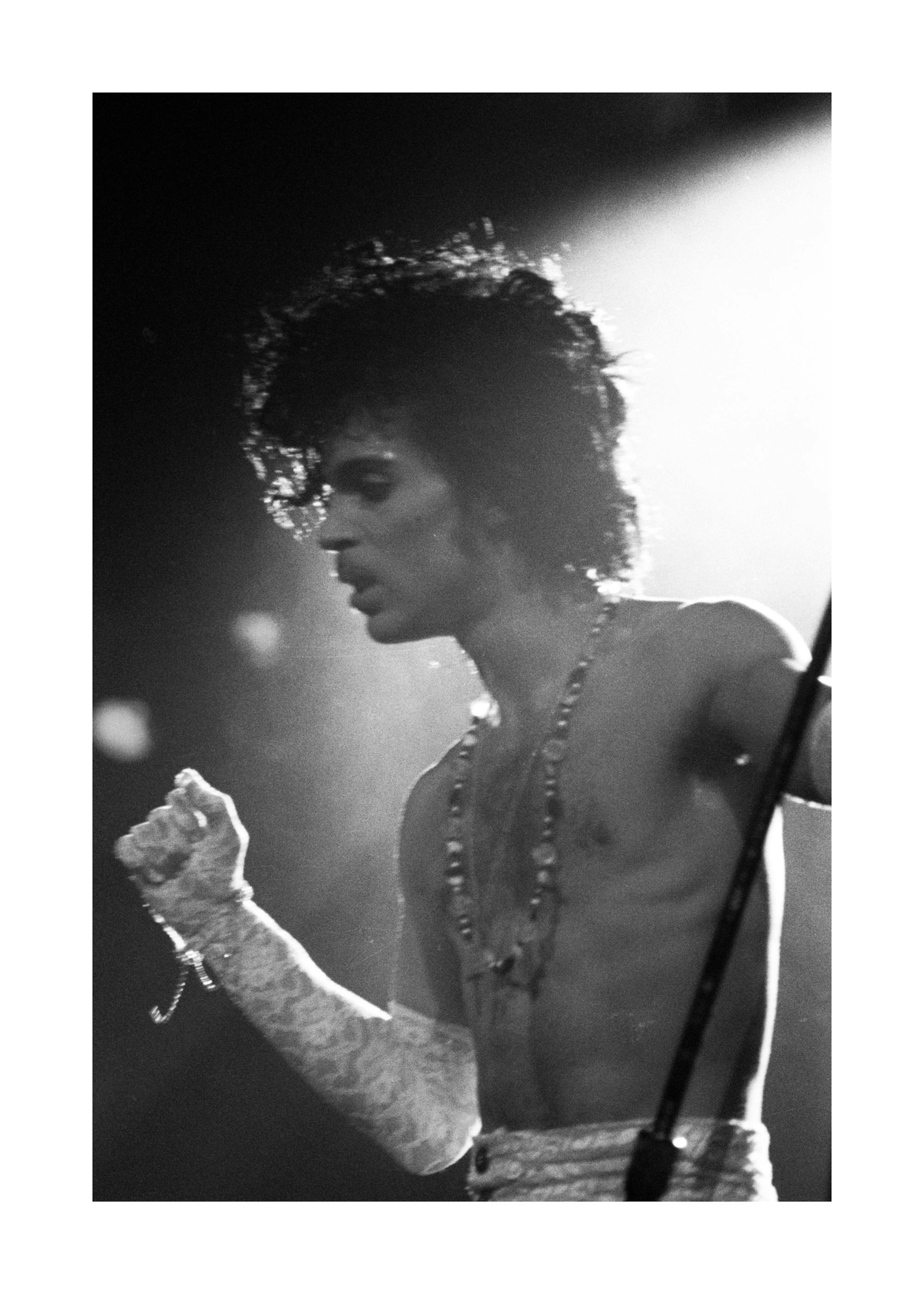 Prince Print 0