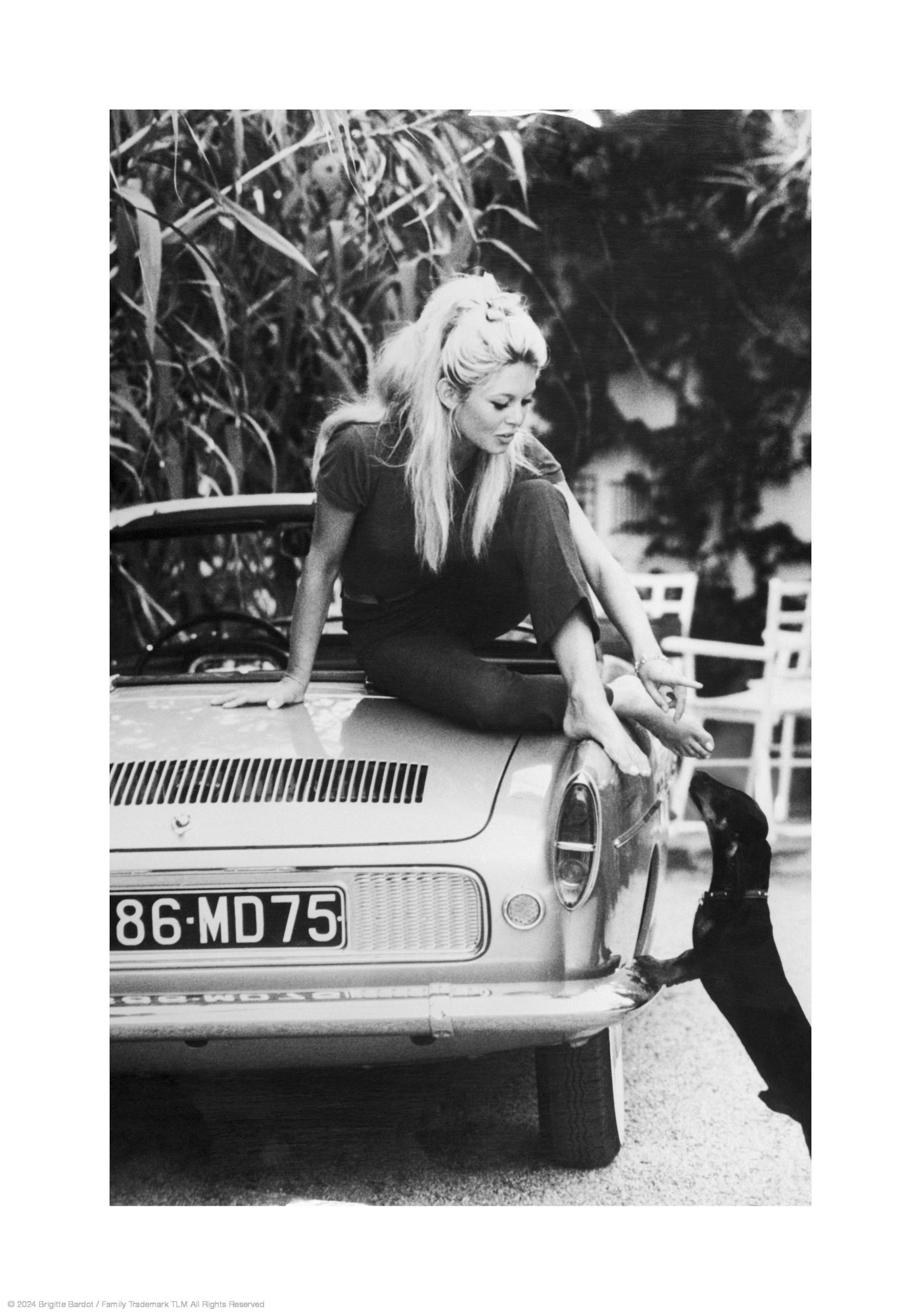 Brigitte Bardot Poster