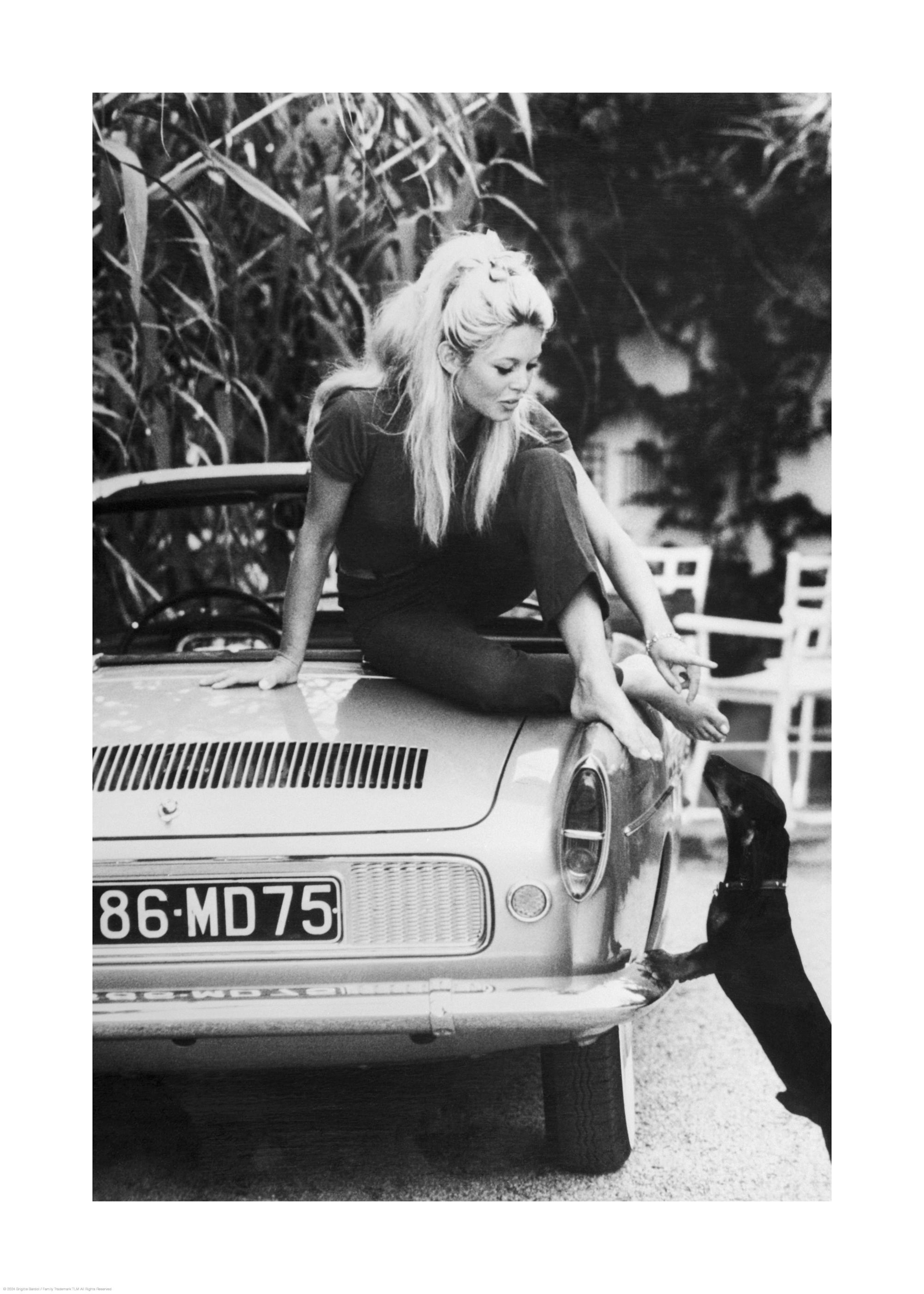 Brigitte Bardot Print 0