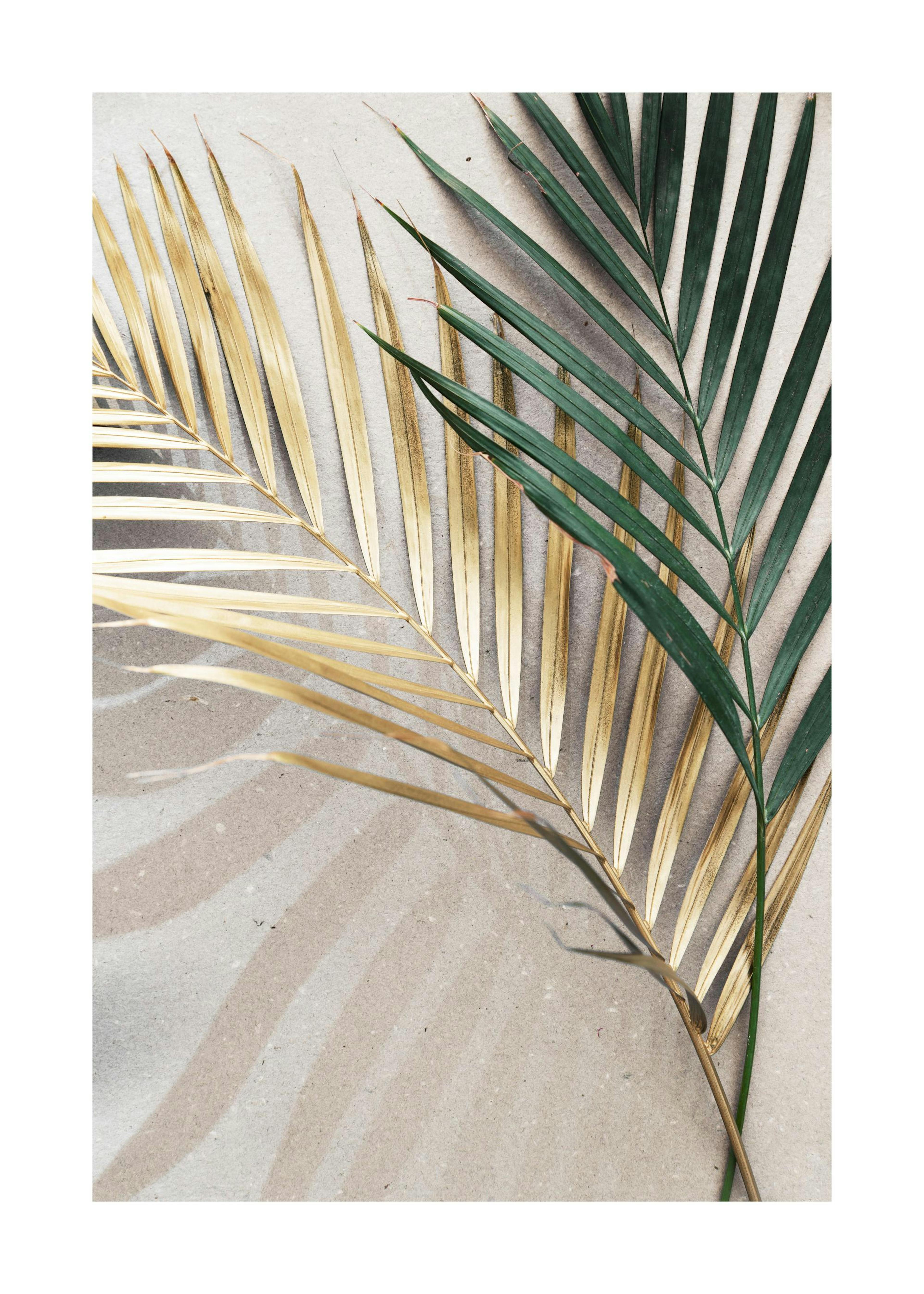 Golden leaves Poster 0