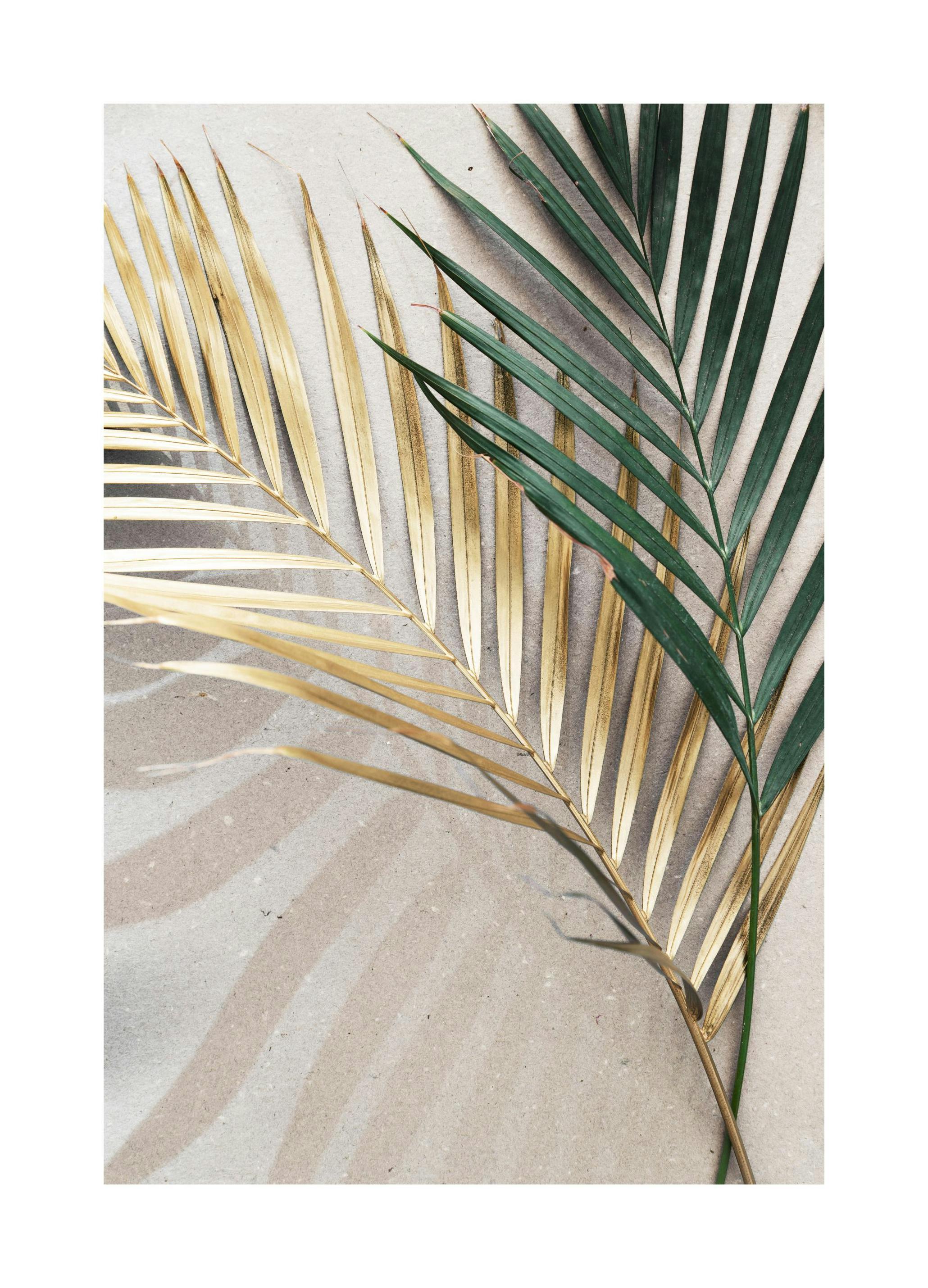 Golden leaves Poster (21x30 cm) - Groene planten
