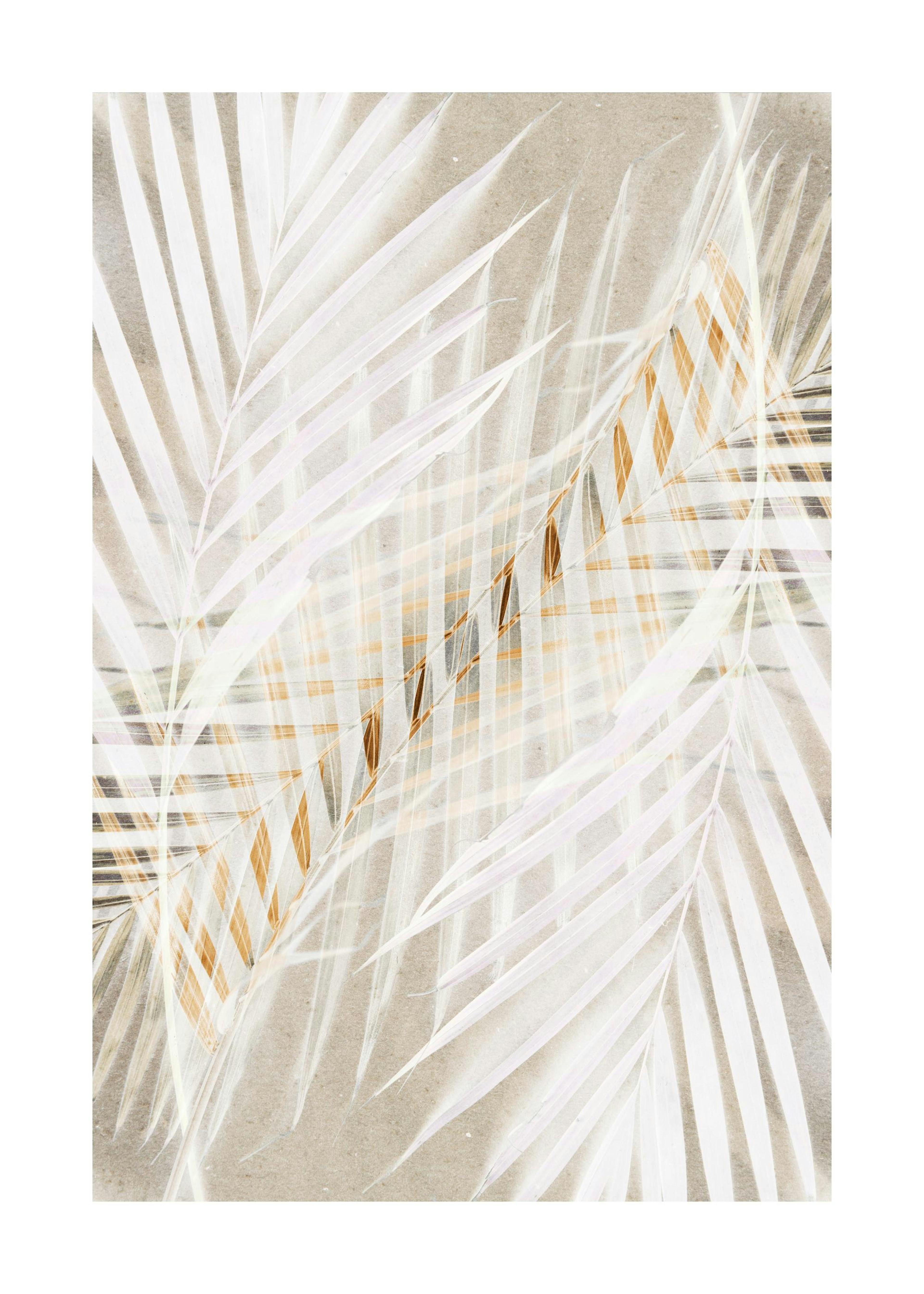 White Palm Leaves Print