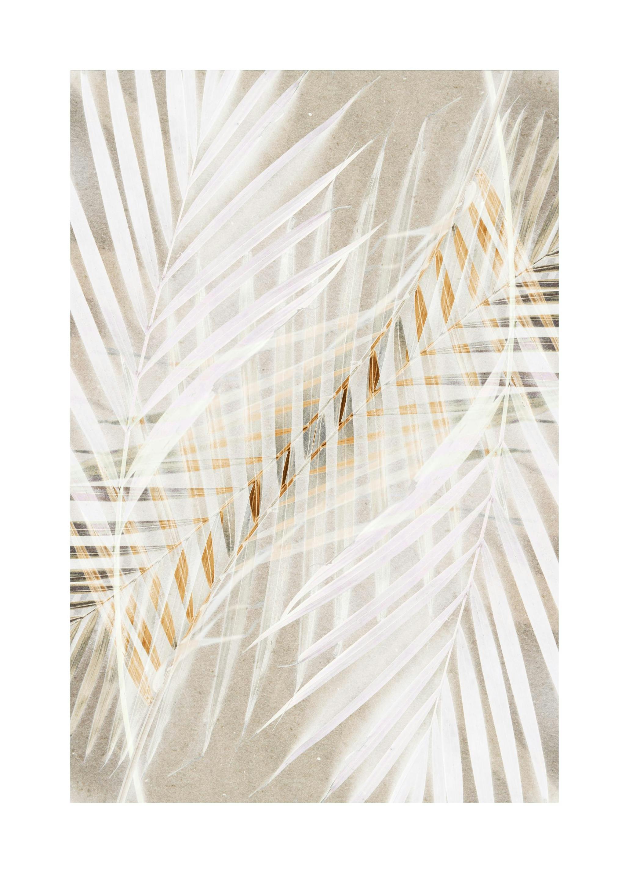 White Palm Leaves Poster (50x70 cm)- Arte fotográfica