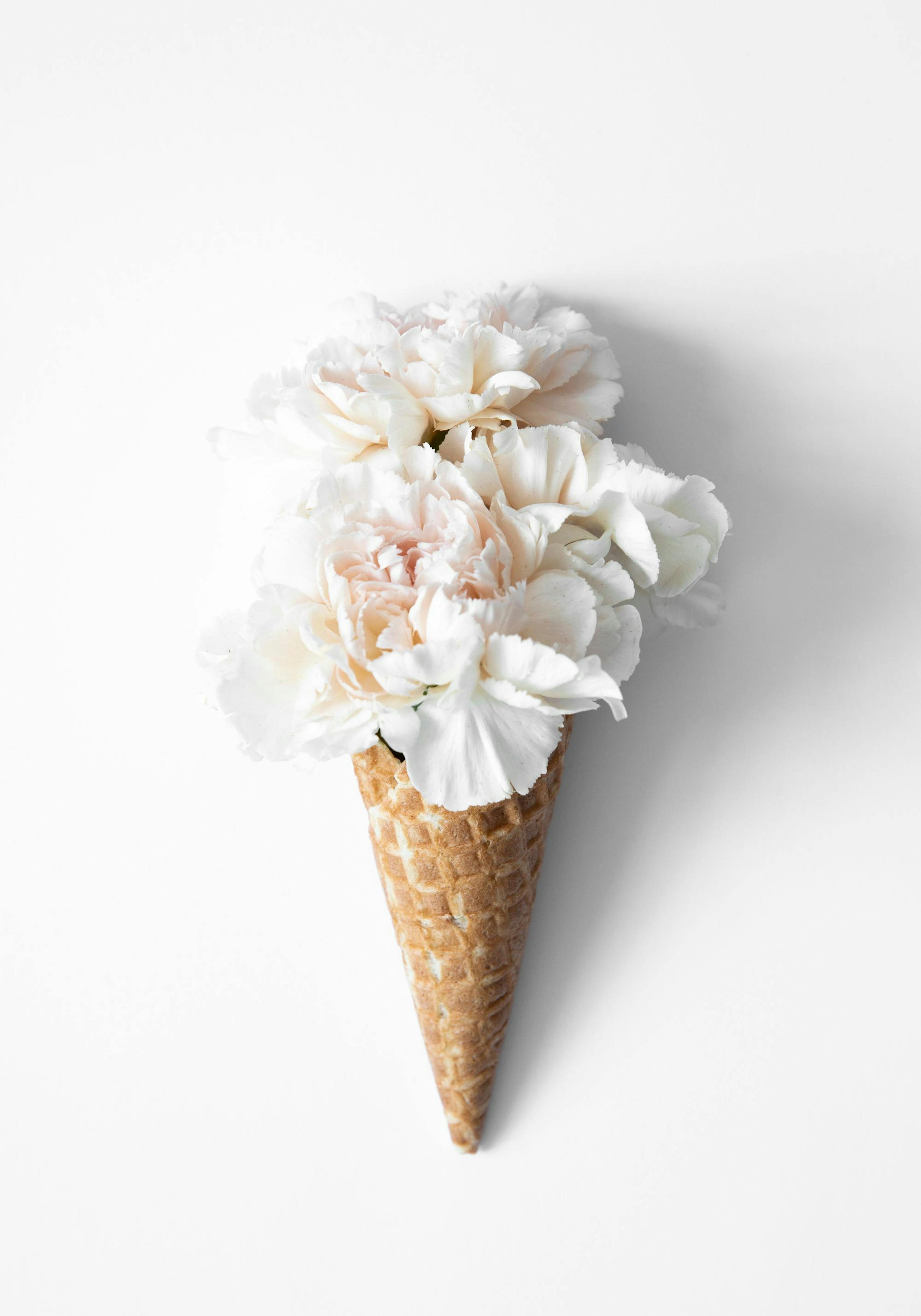 Flower Cone Poster