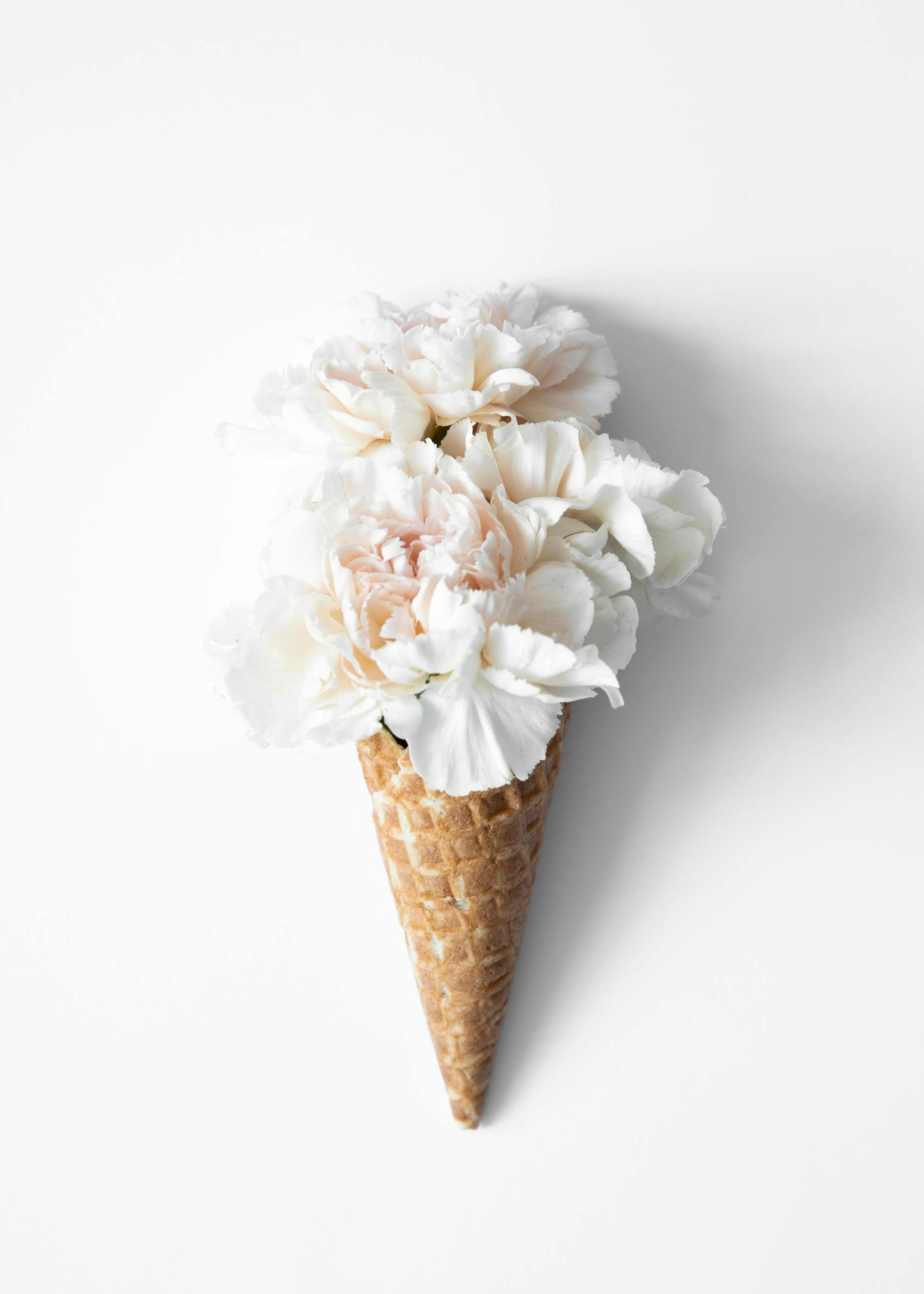 Flower Cone Print 0