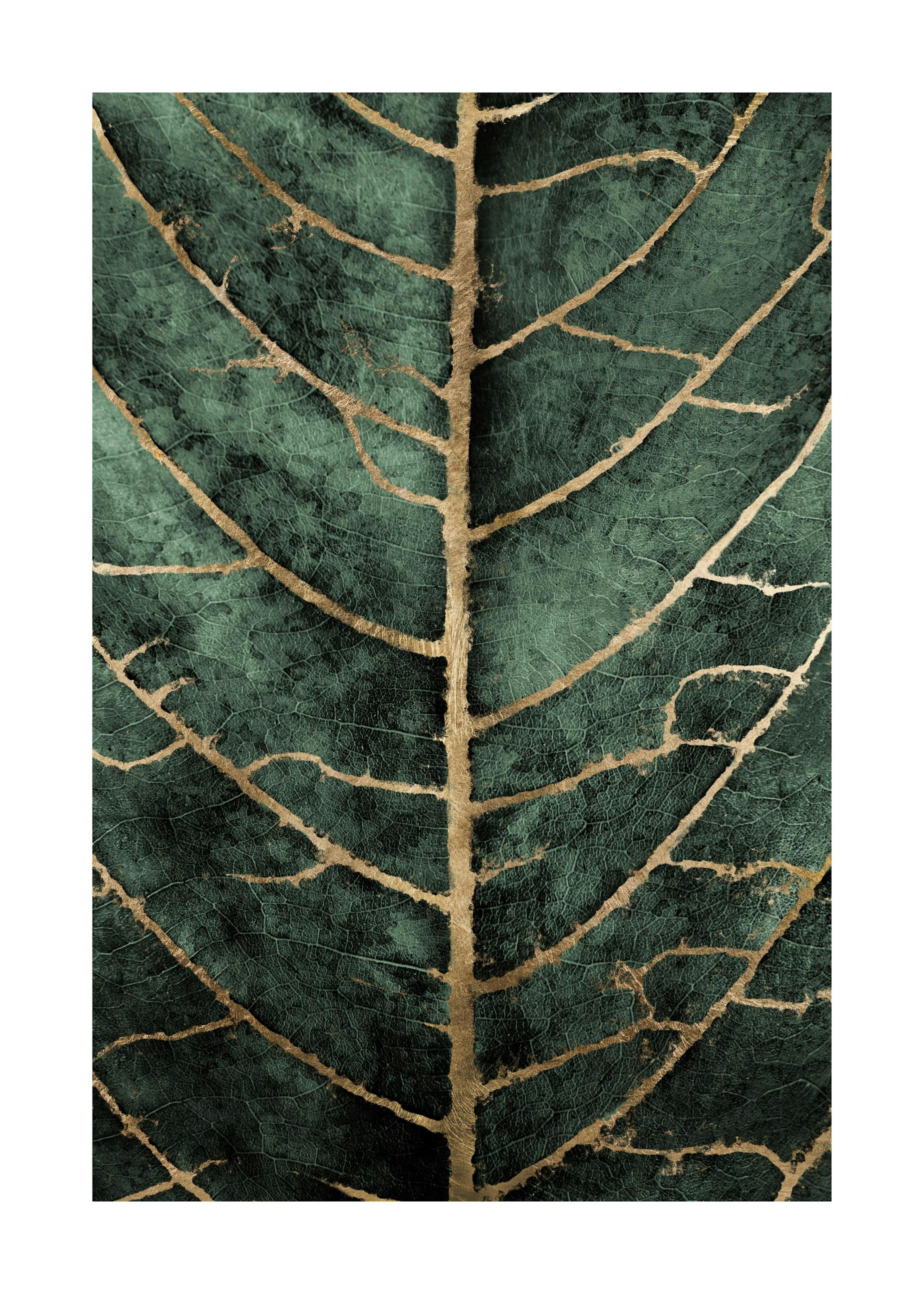 Golden Green Leaf Poster 0