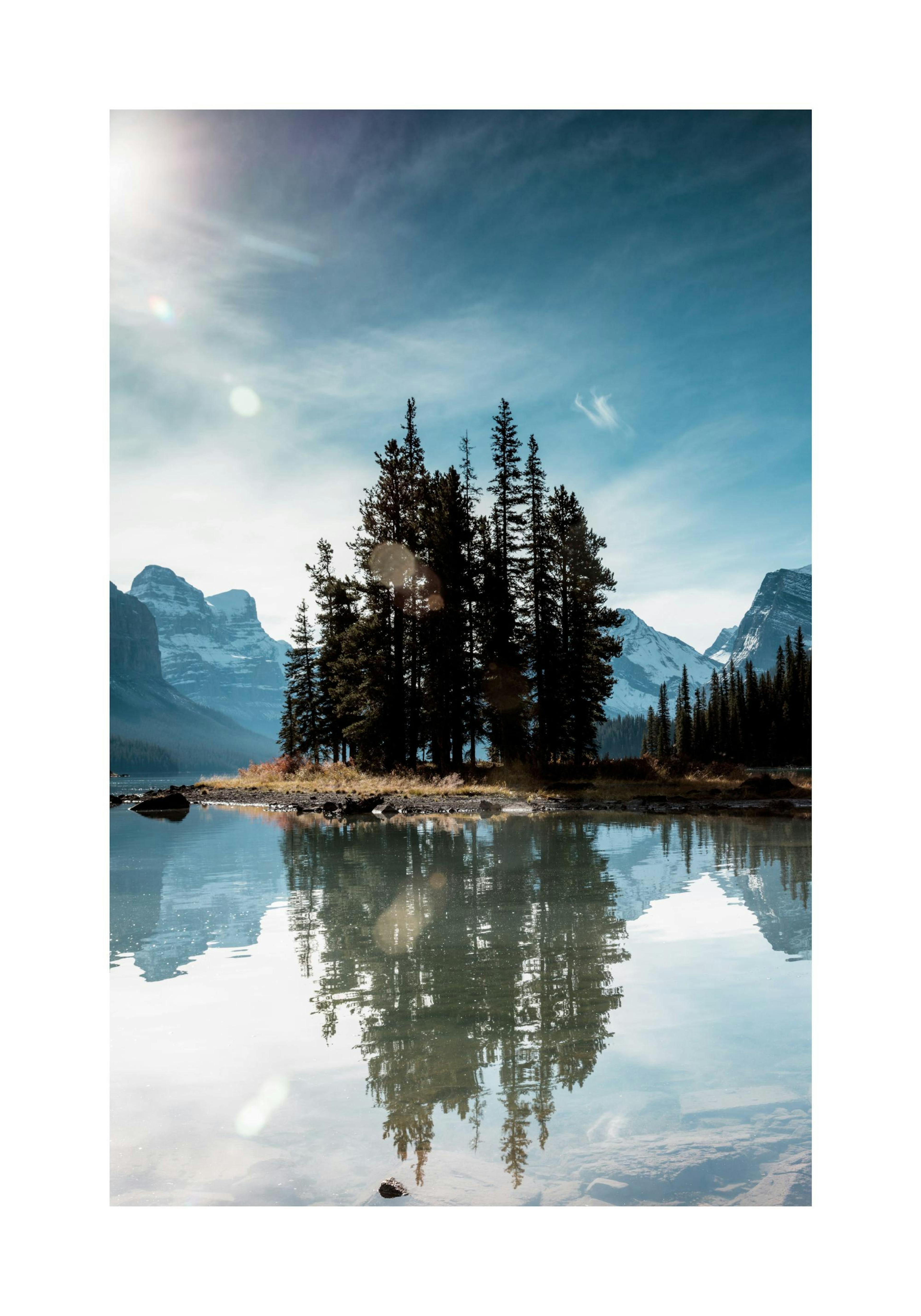 Spirit Island Print