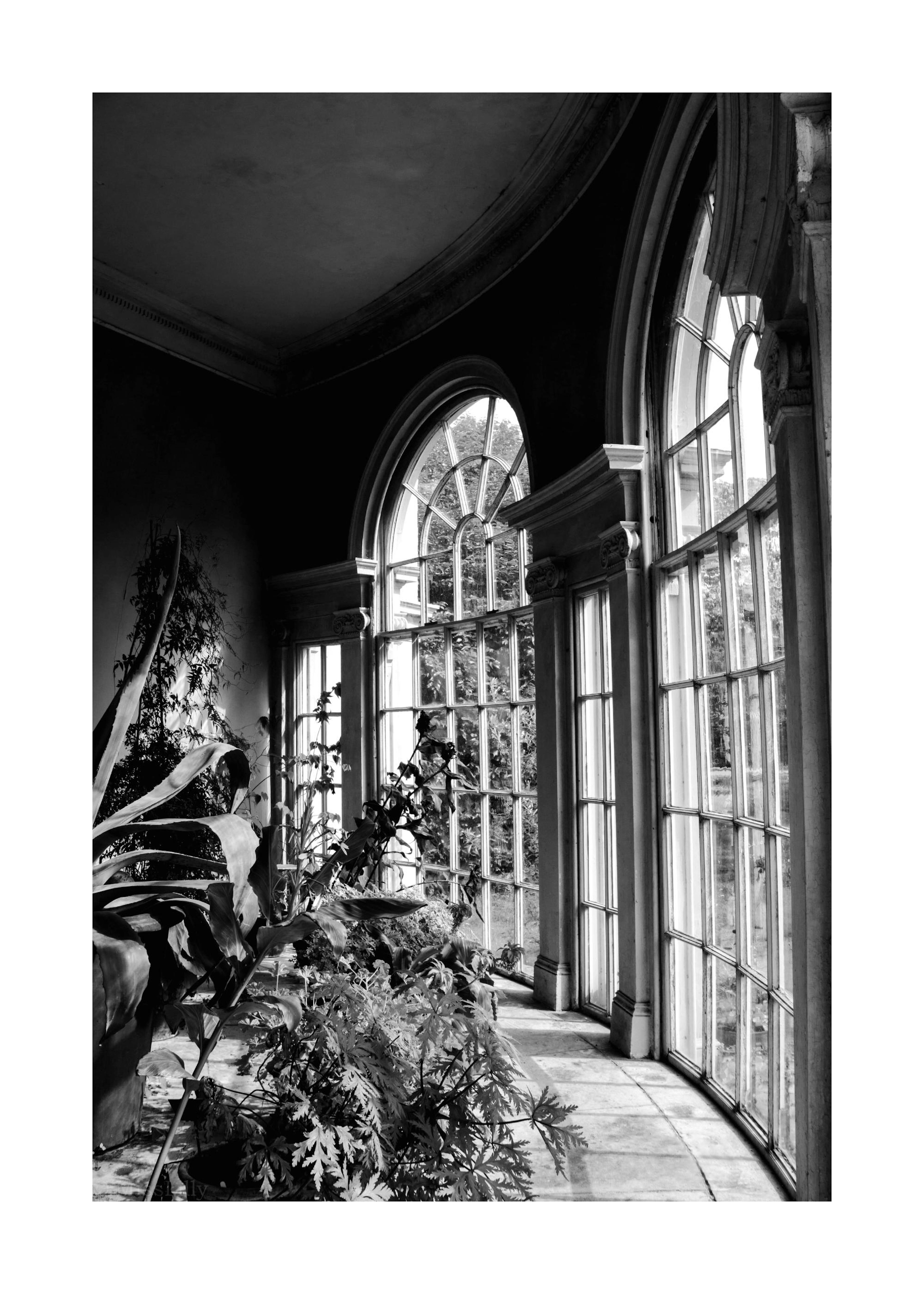 Garden of Light Print 0