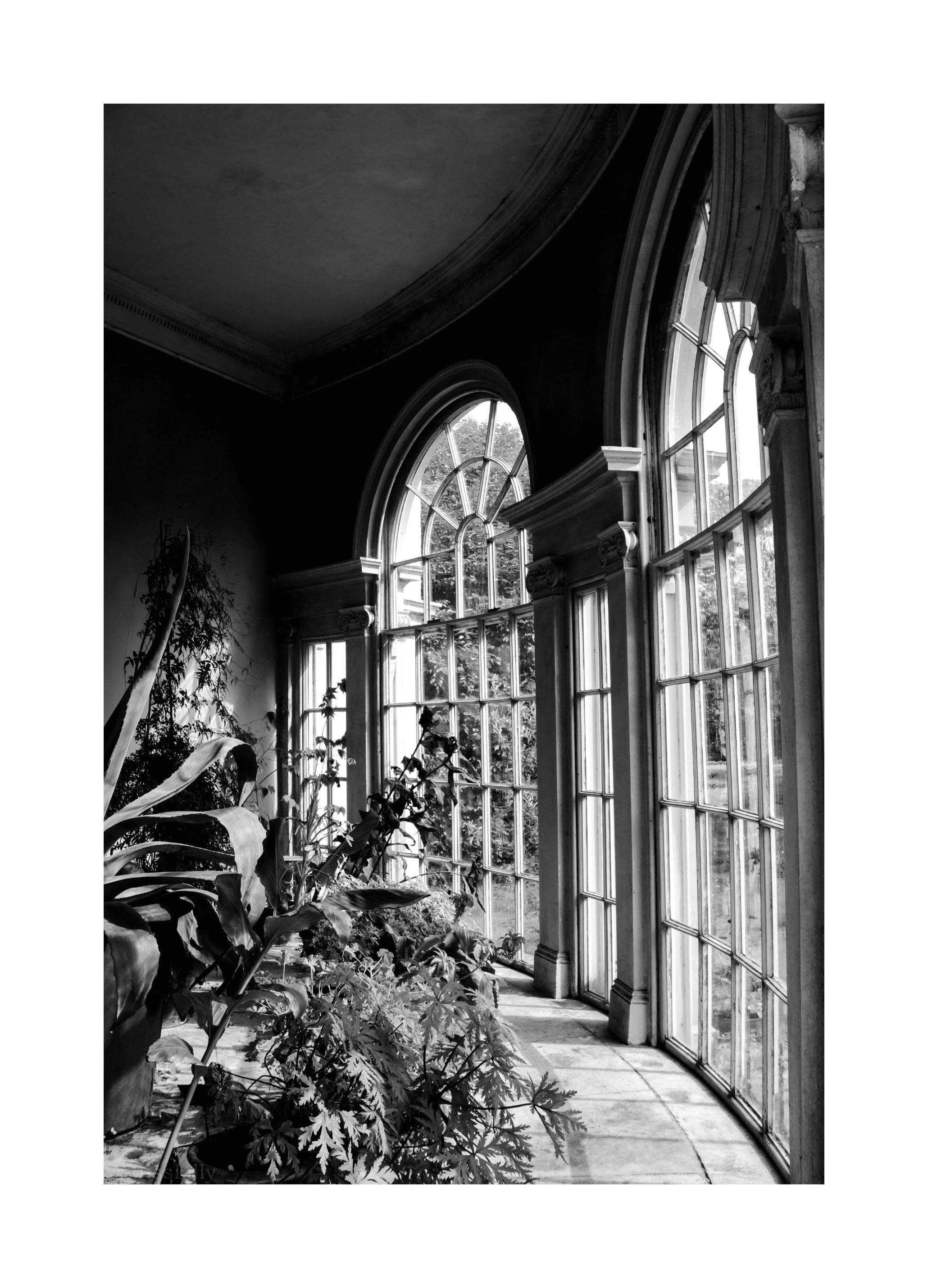 Garden of Light Poster (30x40 cm) -  Schwarz-Weiß-Bilder