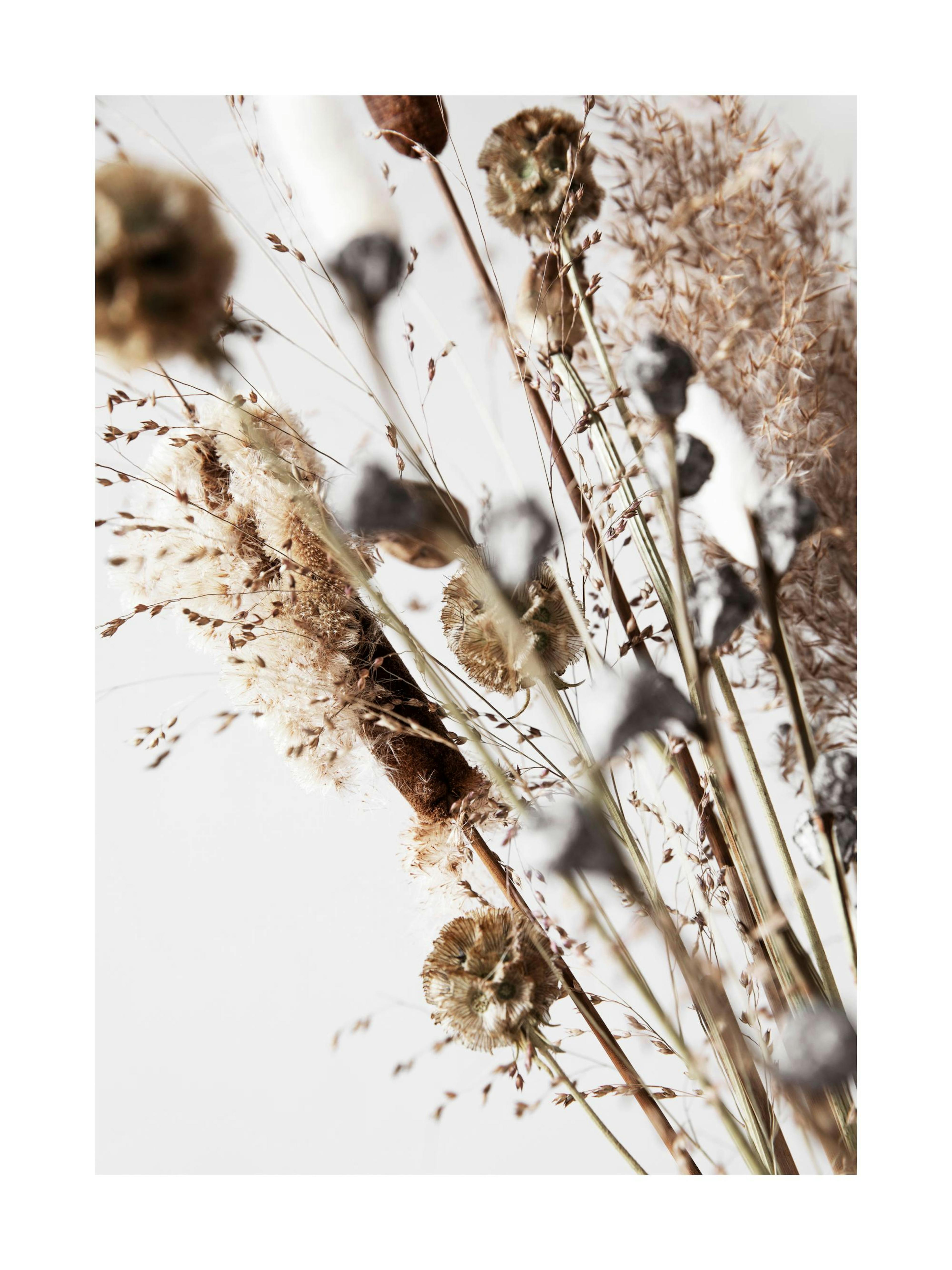Product image: 1