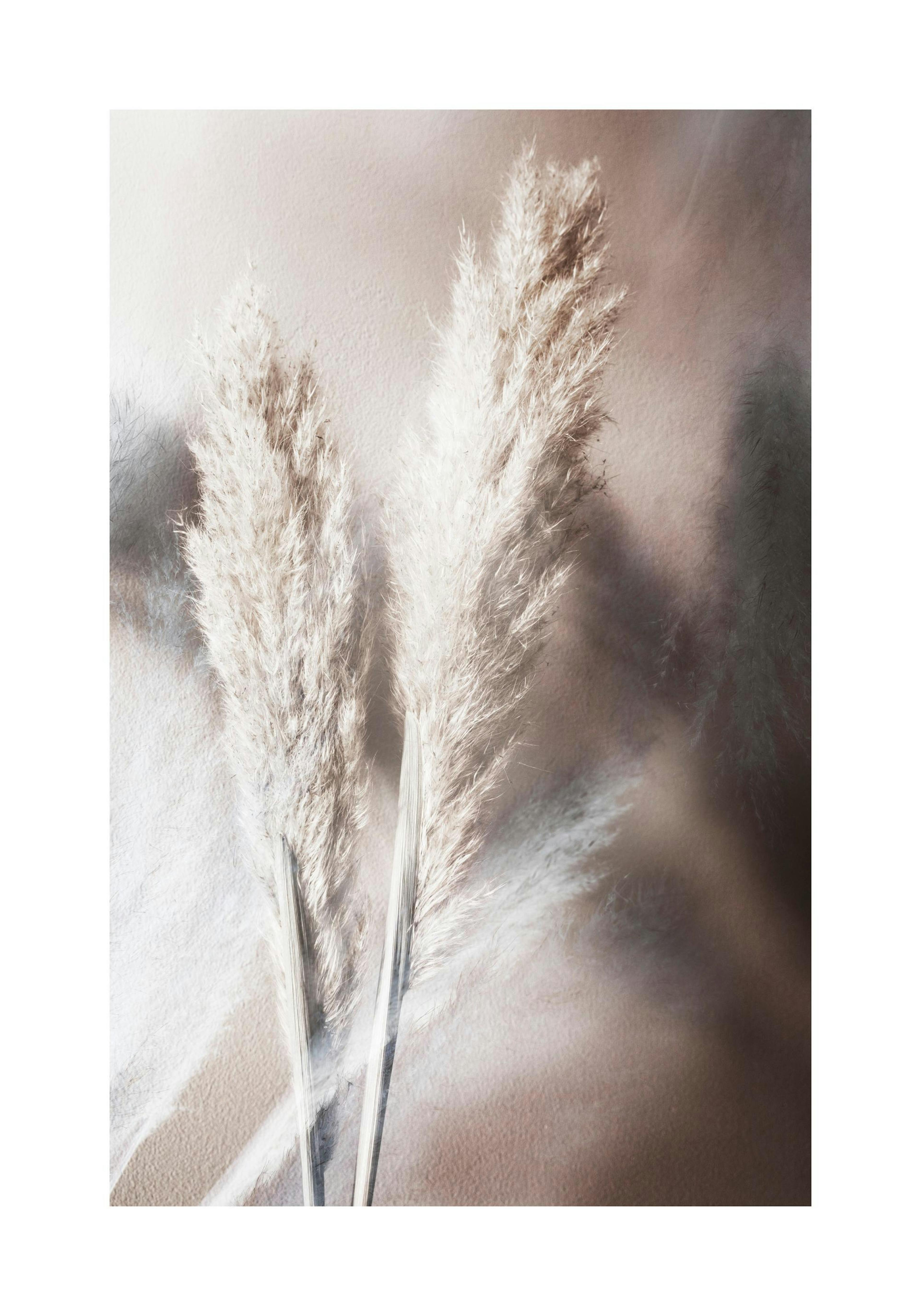 Abstract Reeds No1 Plagát