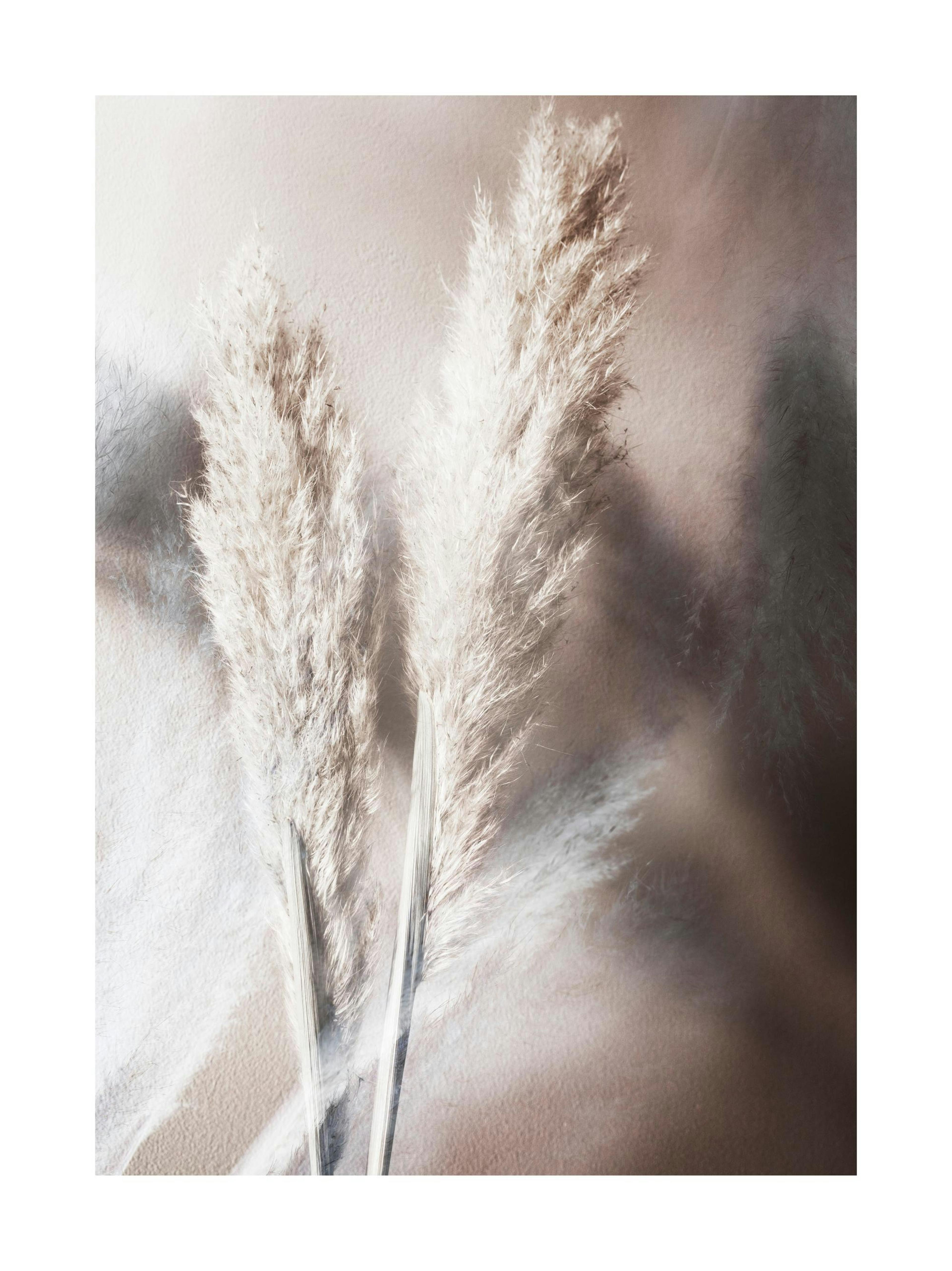 Abstract Reeds No1 Poster