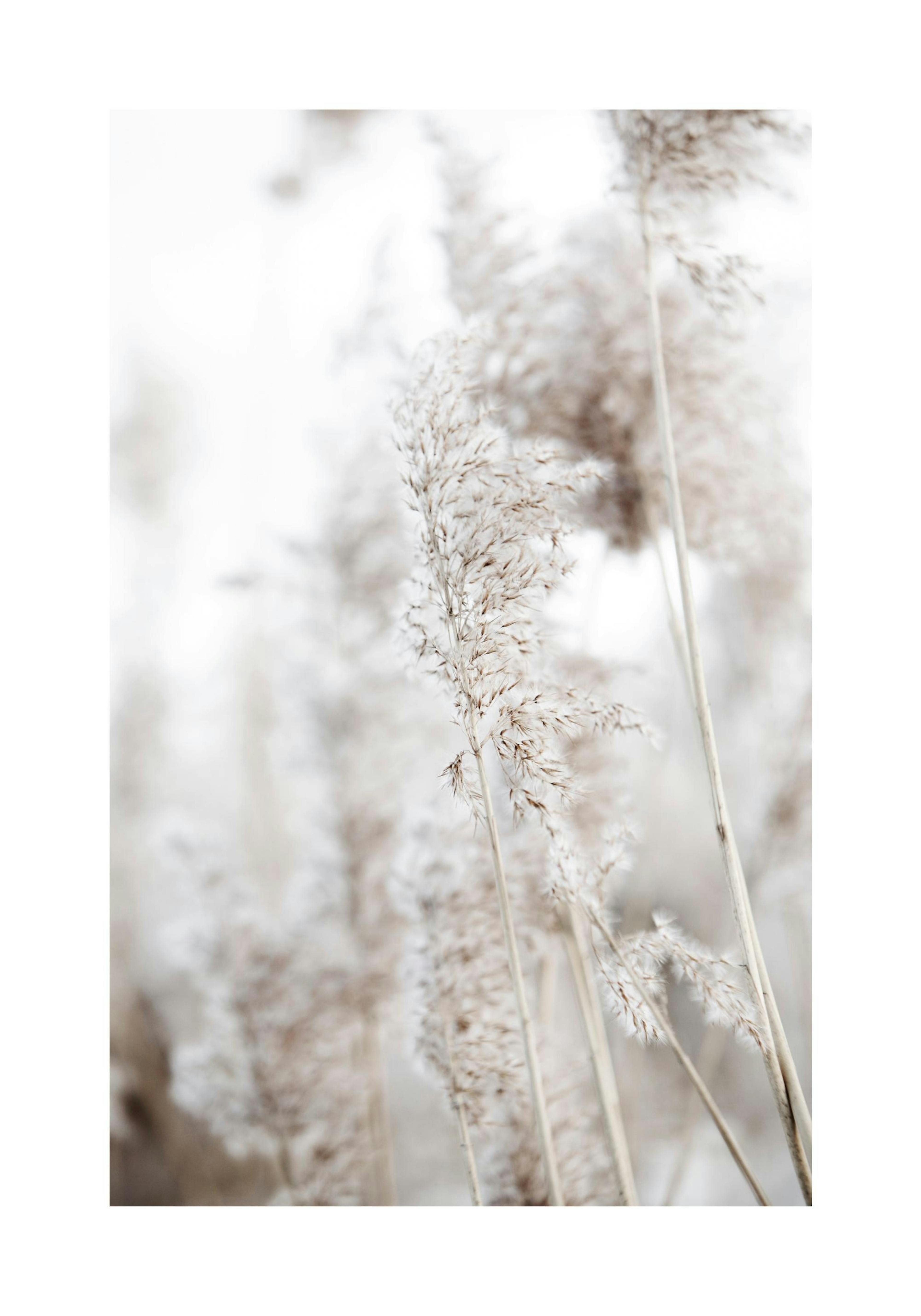 Product image: 1