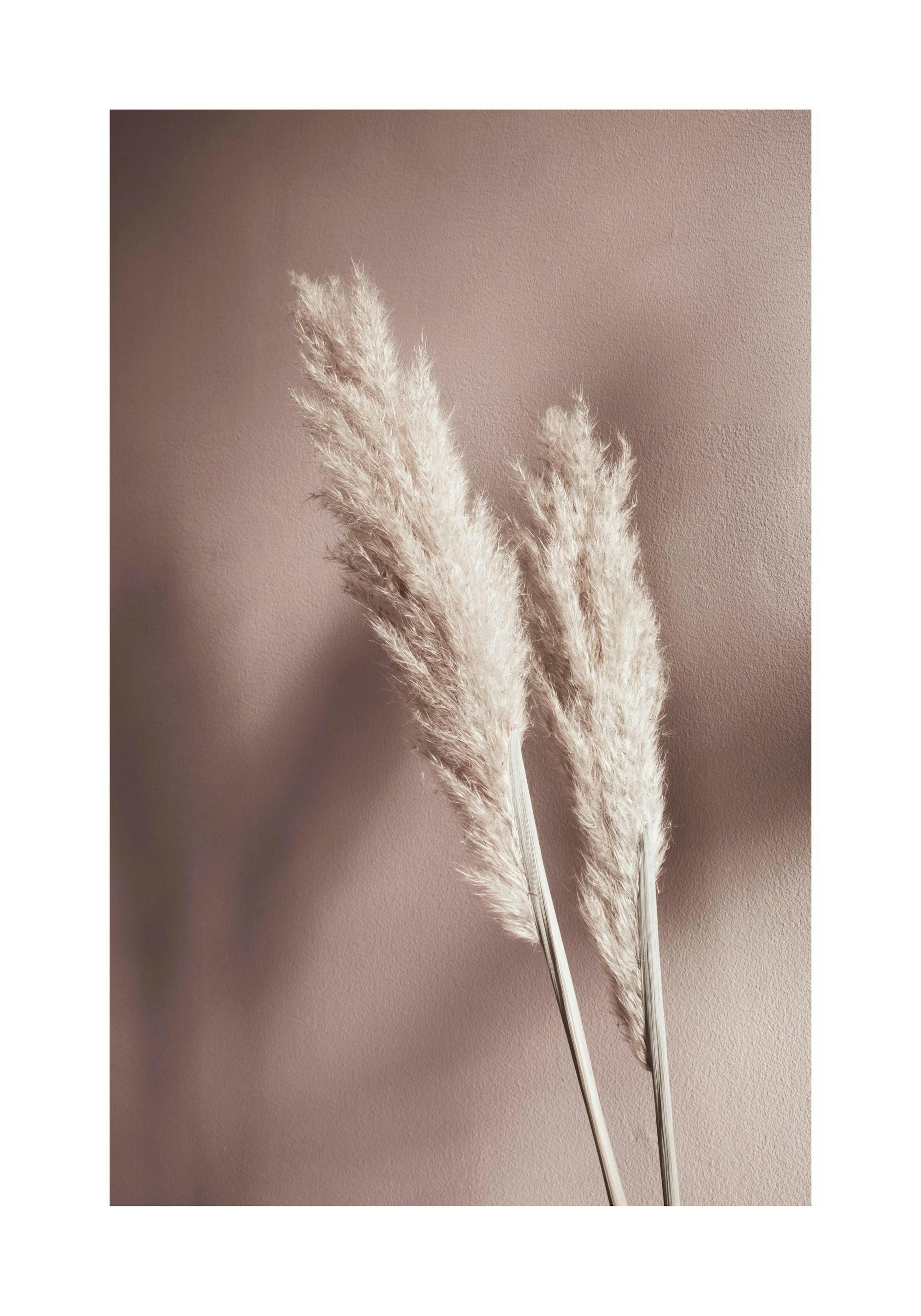 Product image: 1
