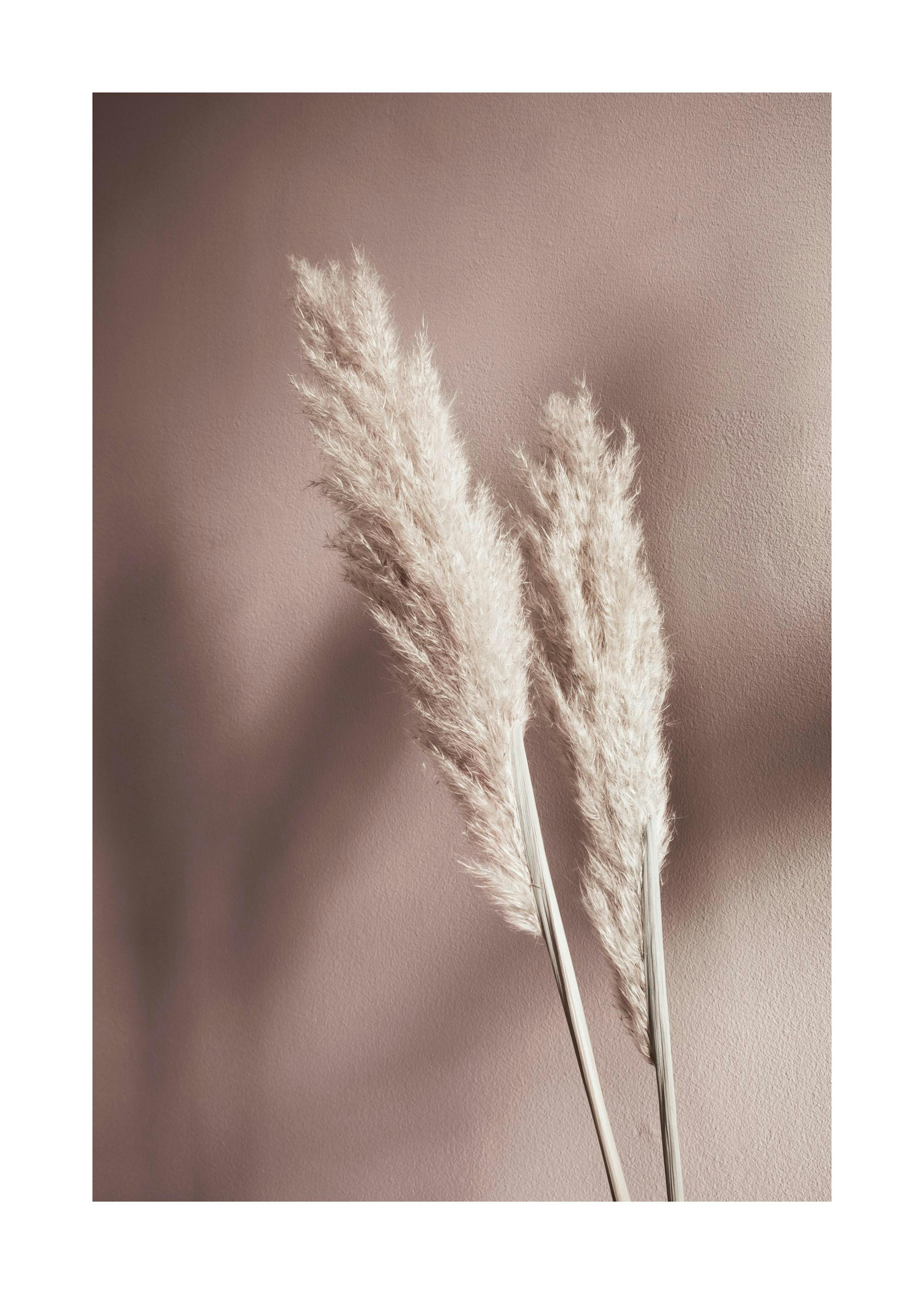 Beige Reeds No2 Print 0