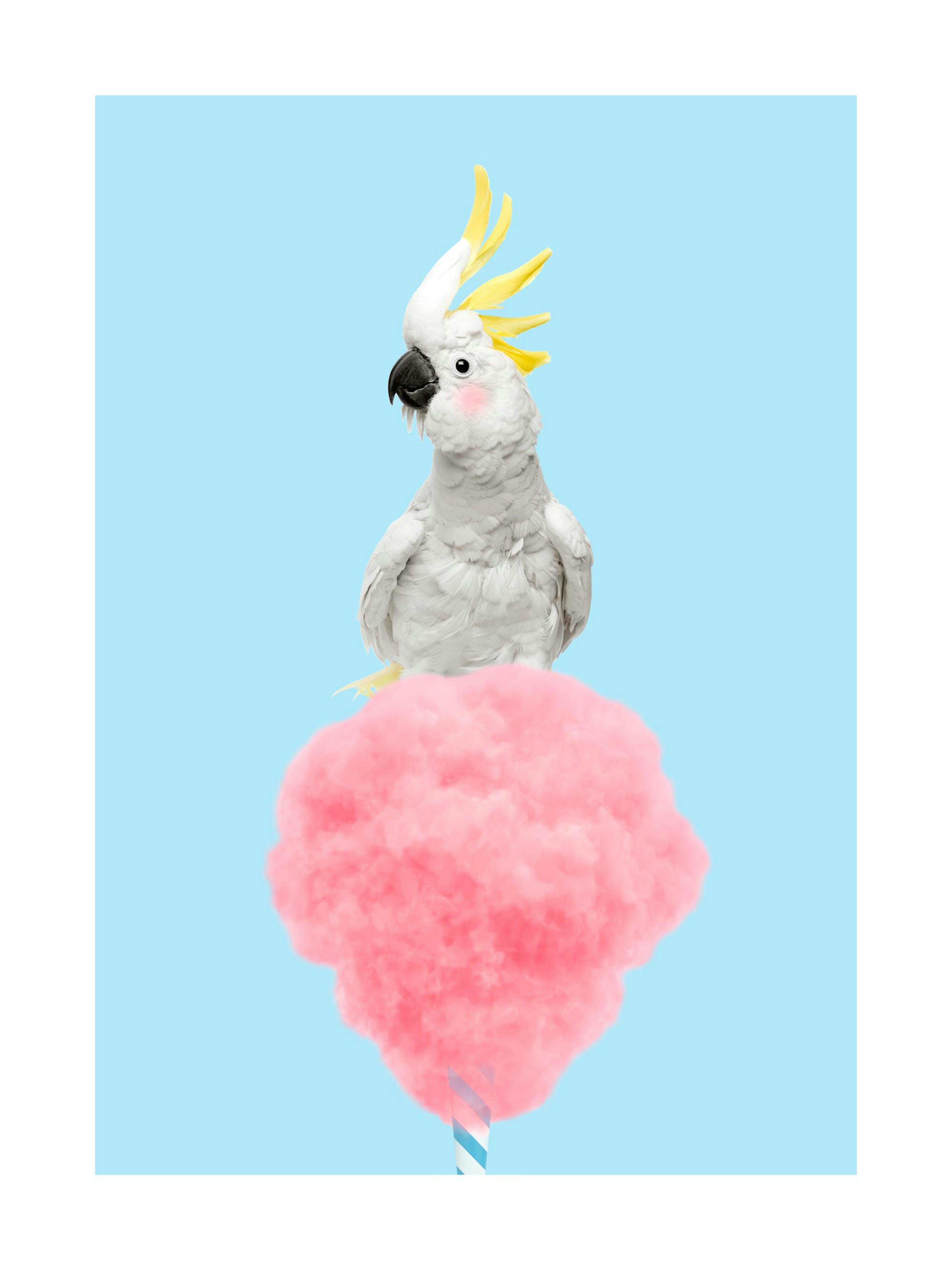 Product image: 1