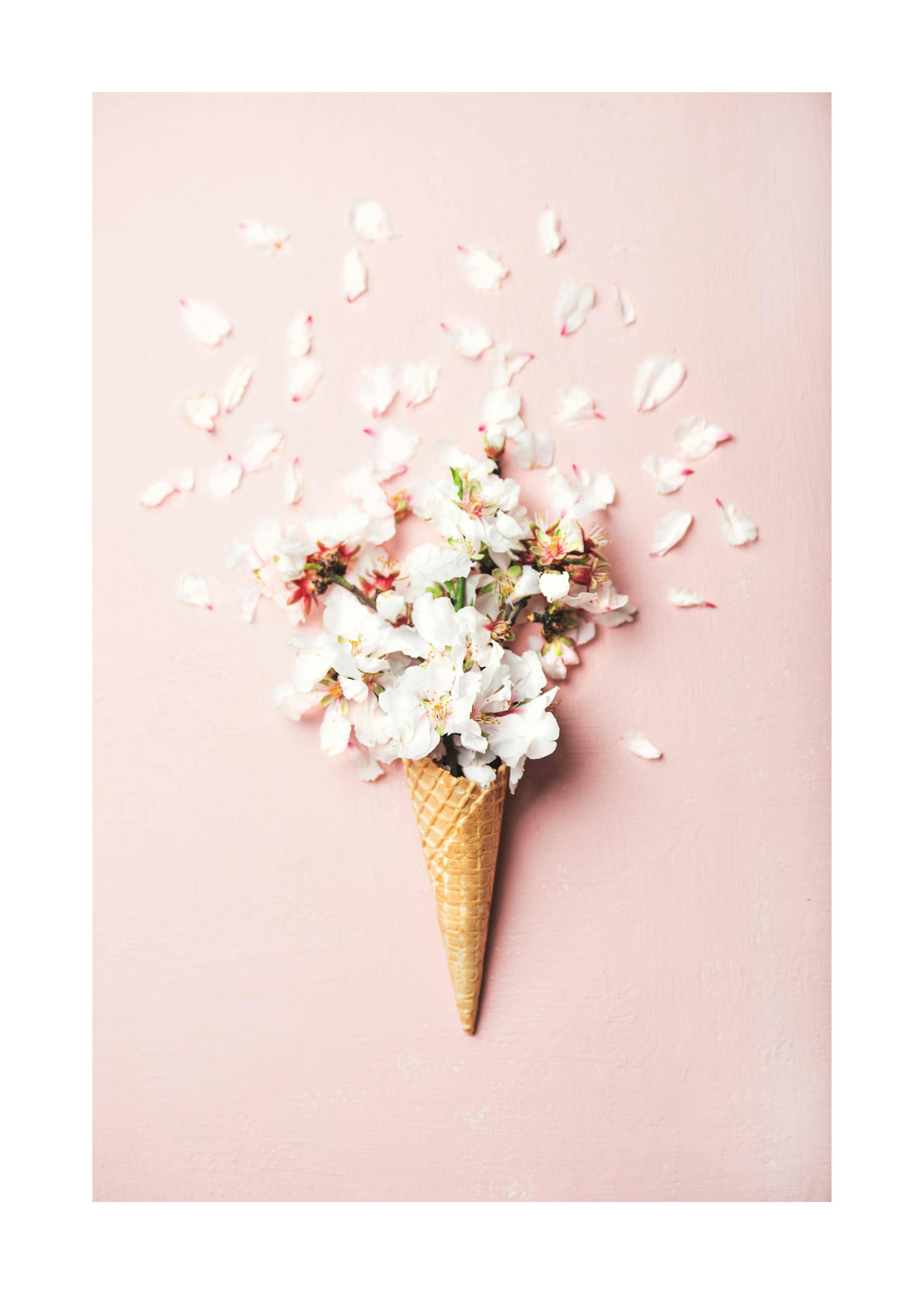 Flower Cone Pink Poster 0