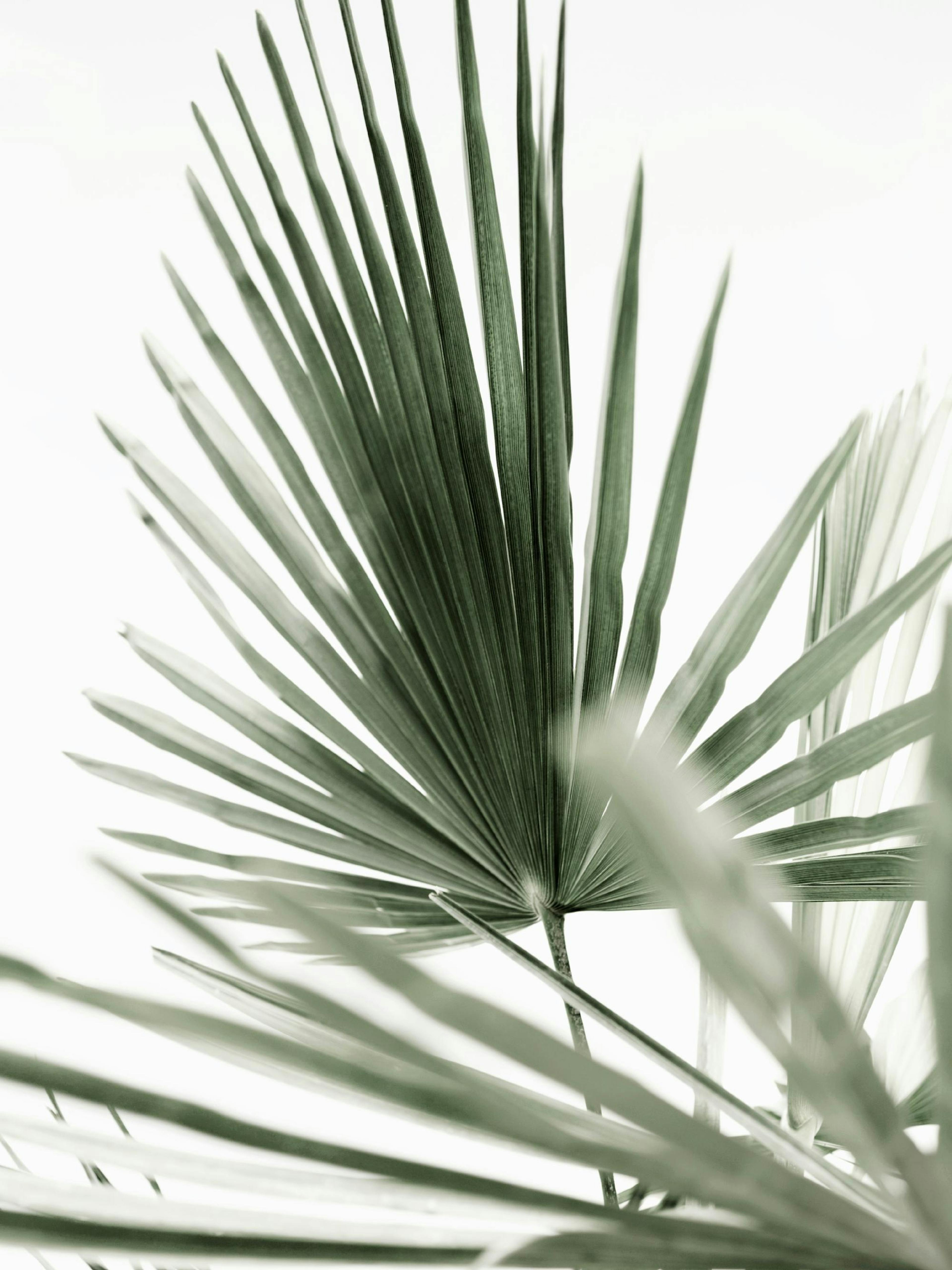Product image: 1