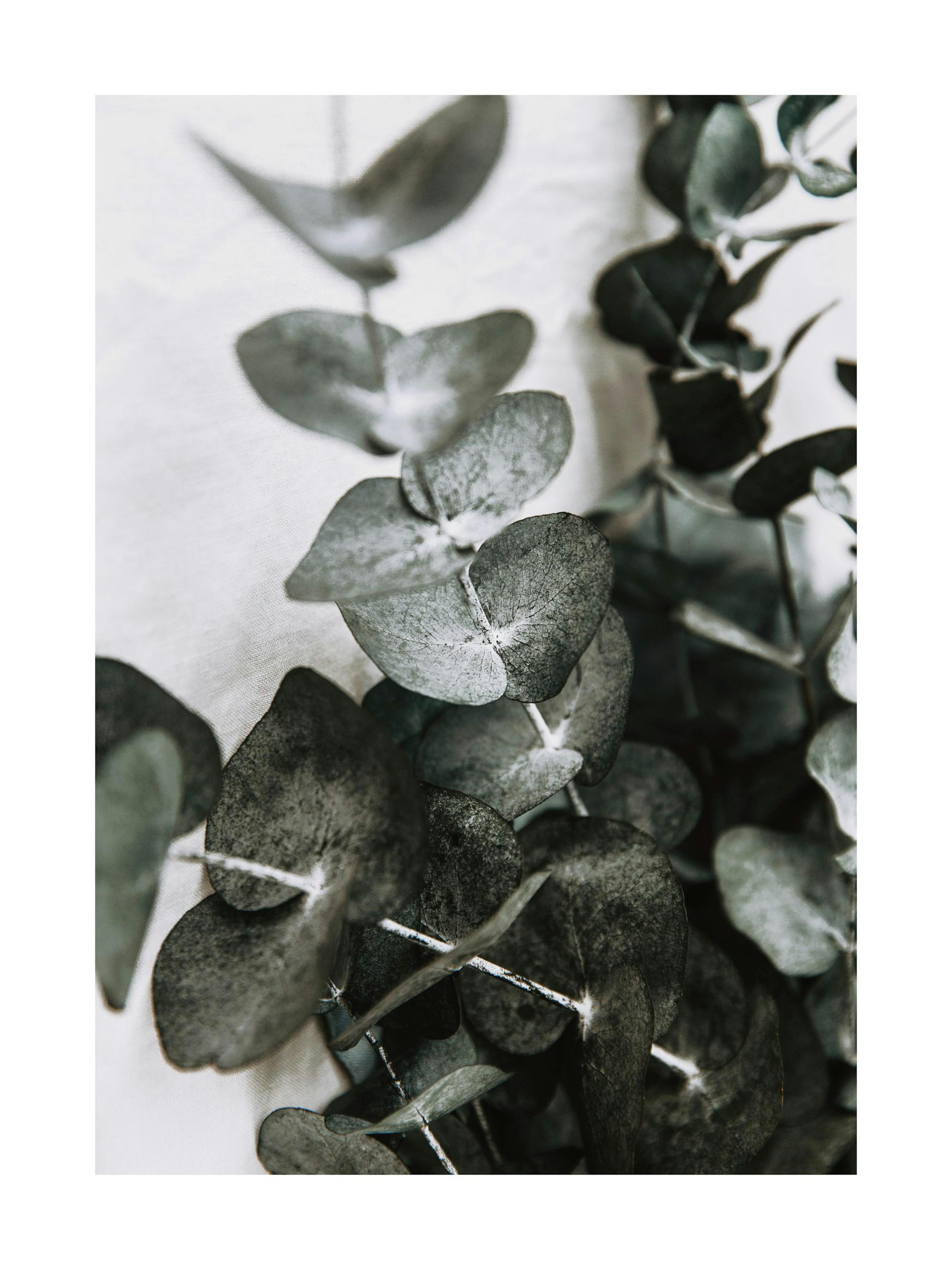 Product image: 1