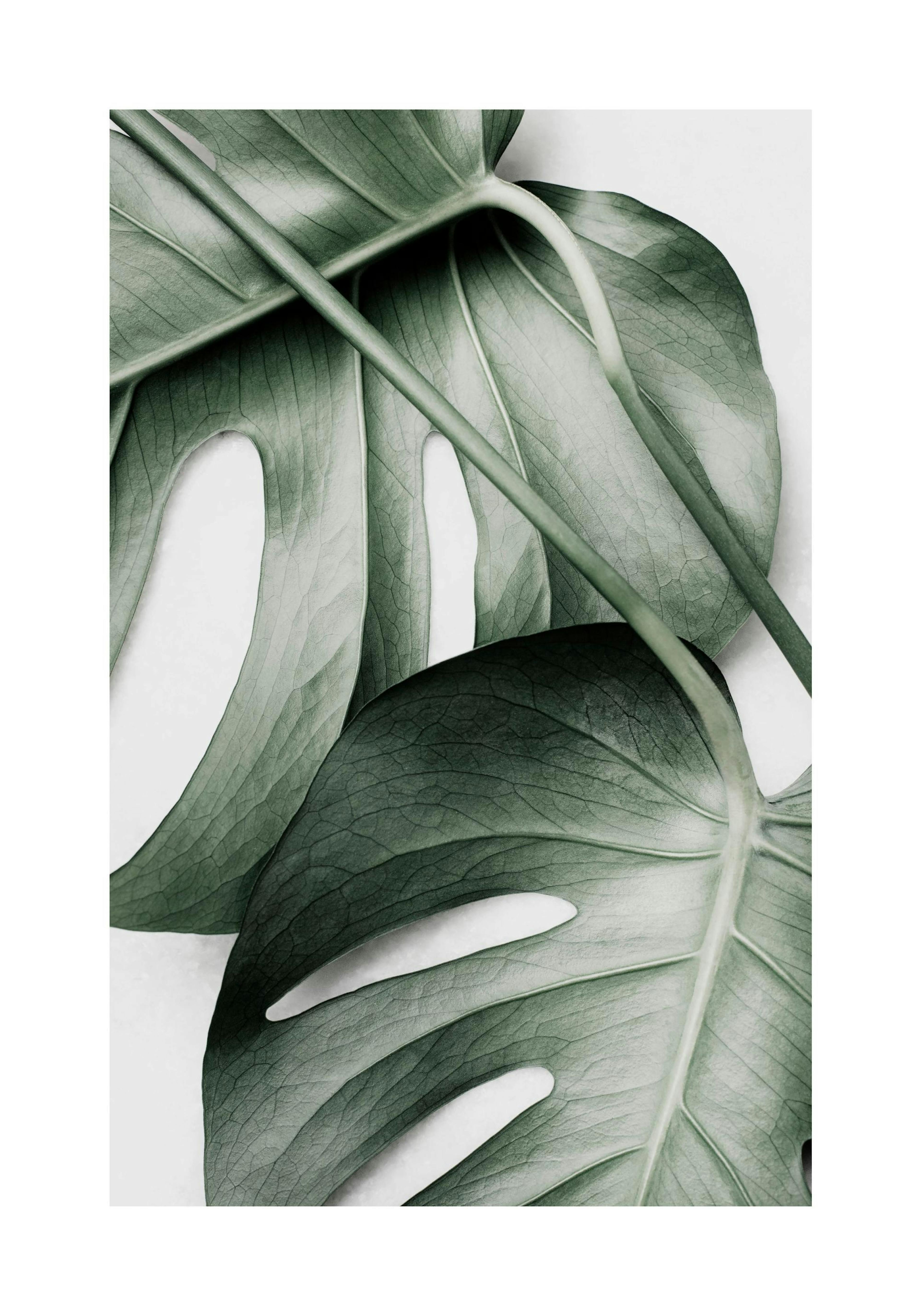 Product image: 1