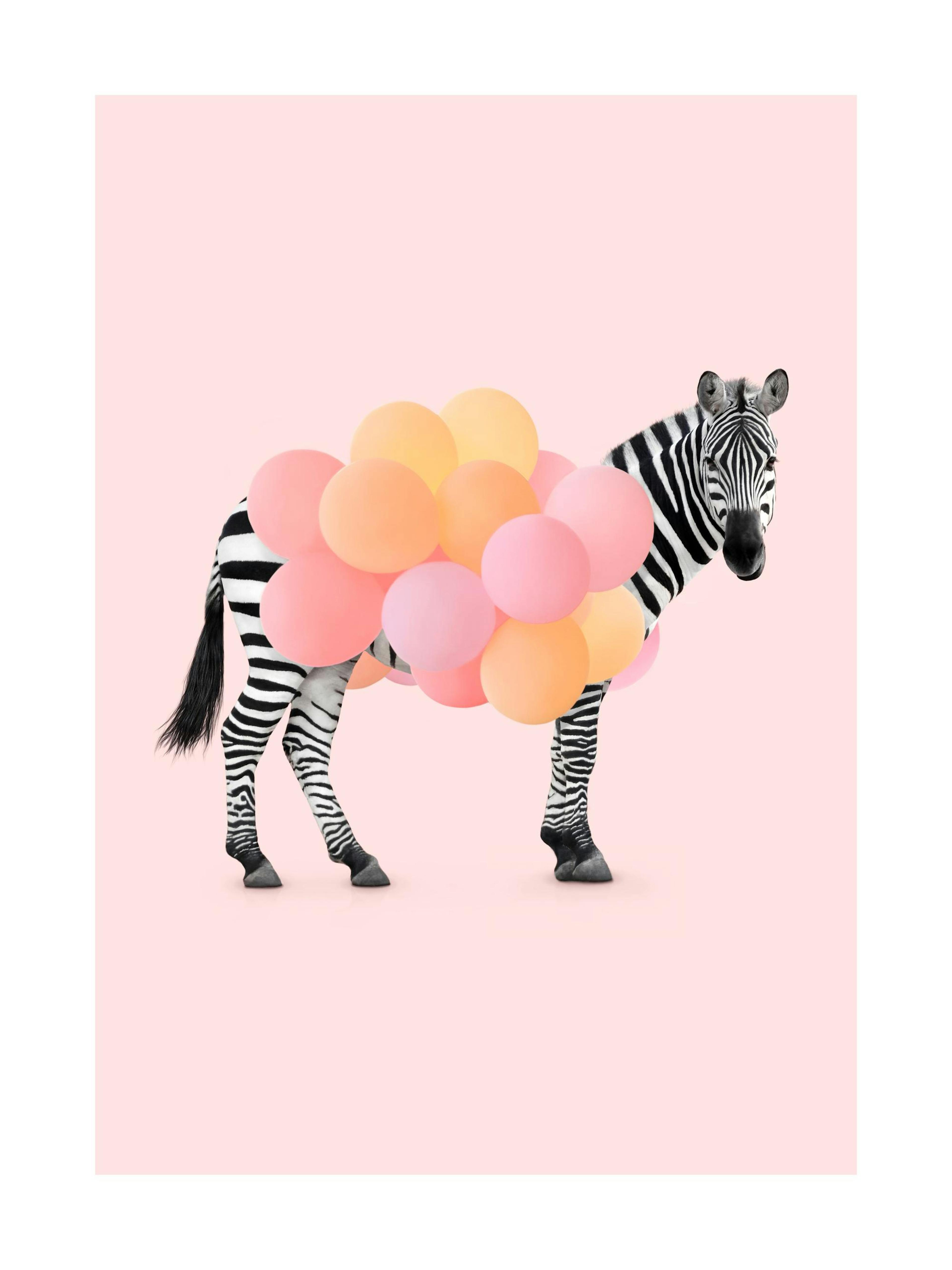 Zebra Balloon Print
