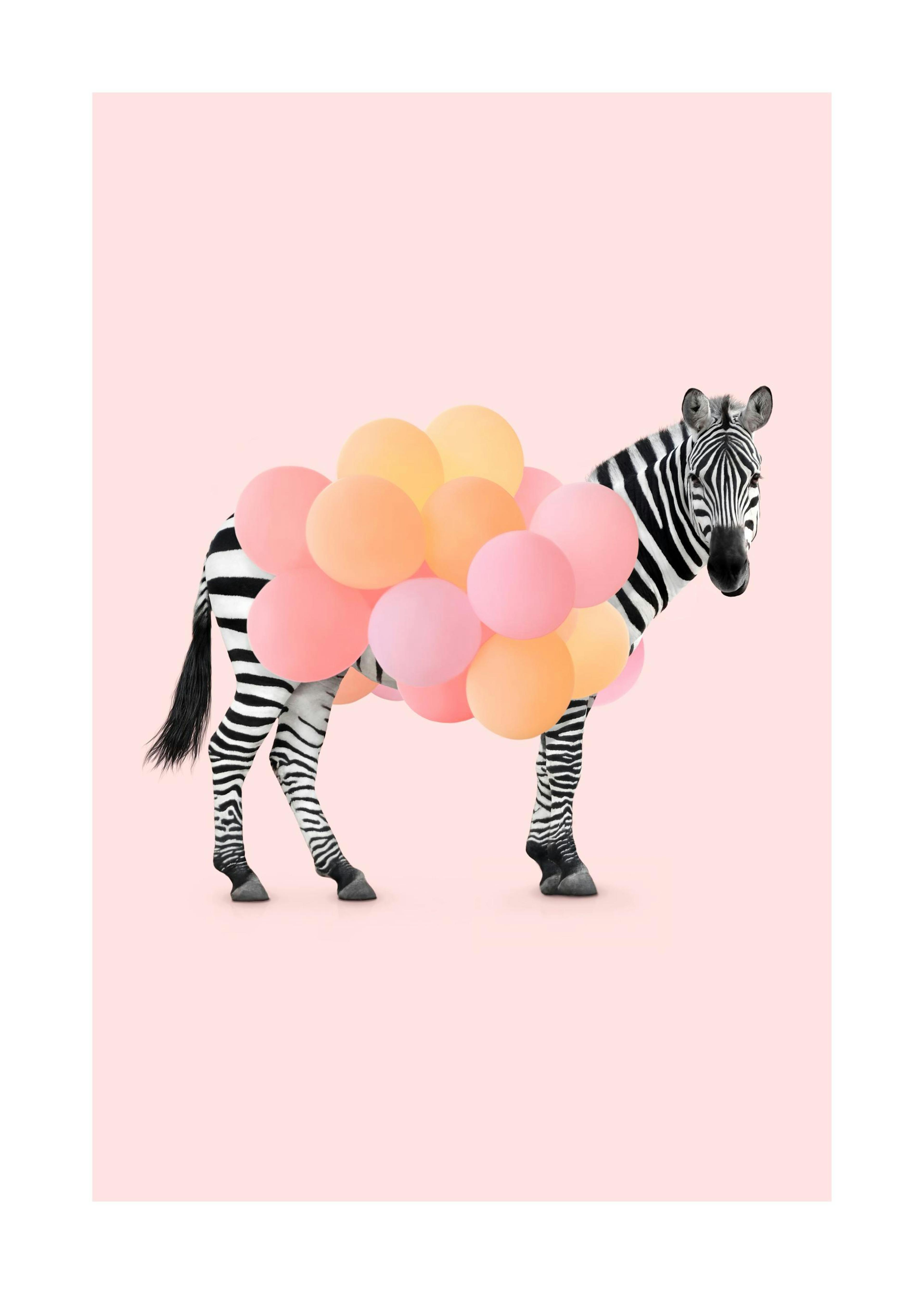 Zebra Balloon Plakat 0