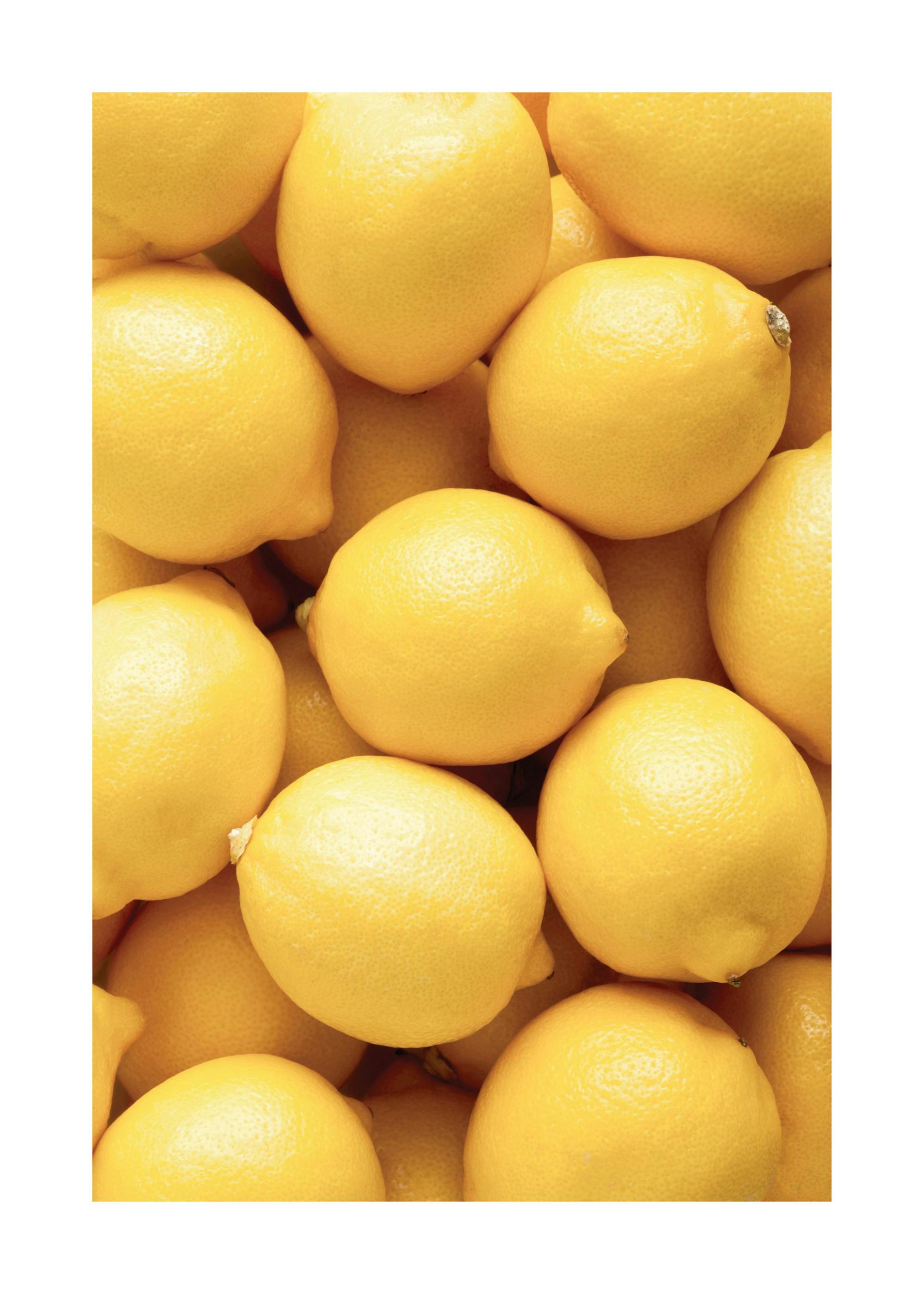 Lemons Poster 0