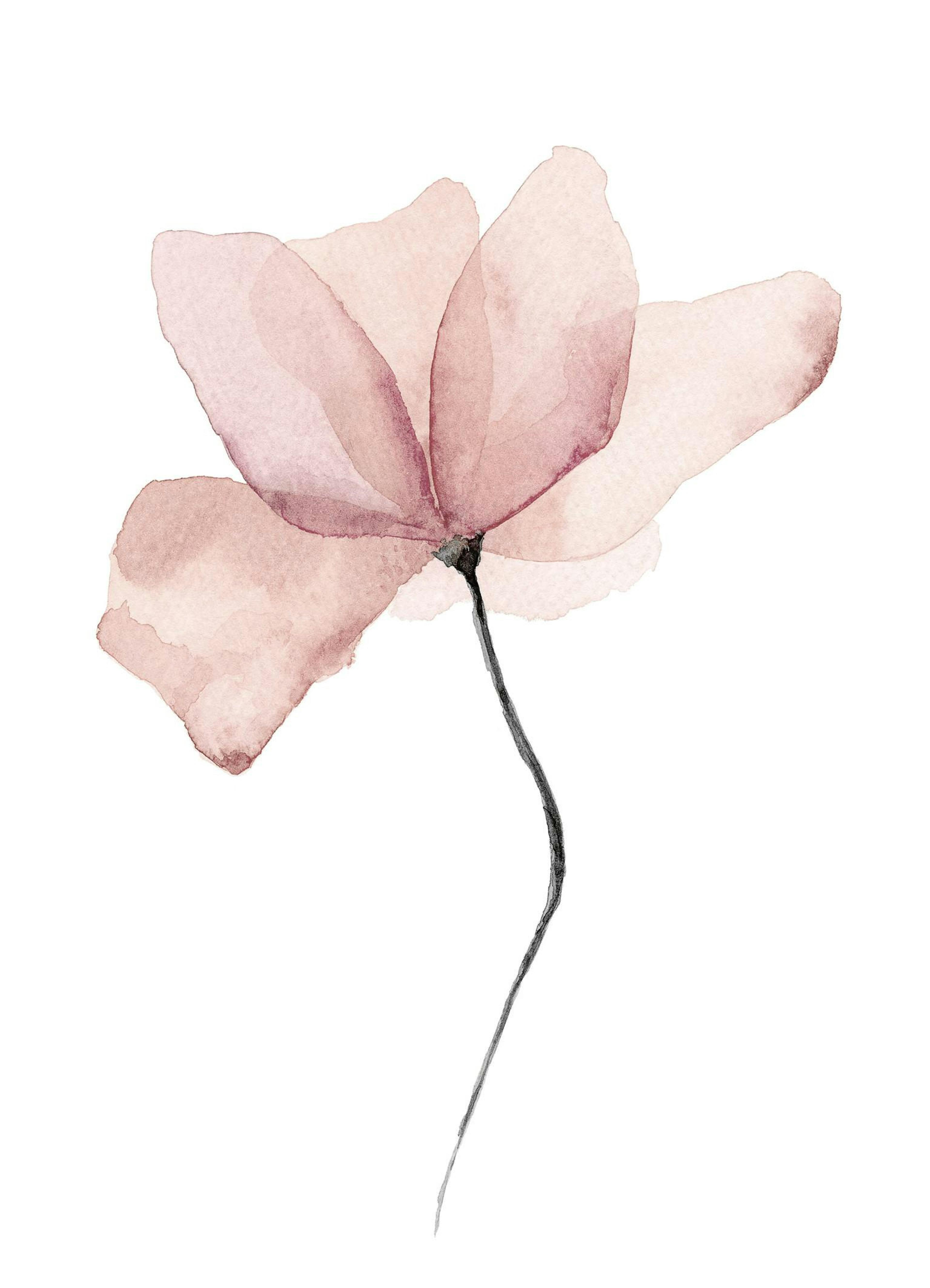 Aquarelle Flower 포스터
