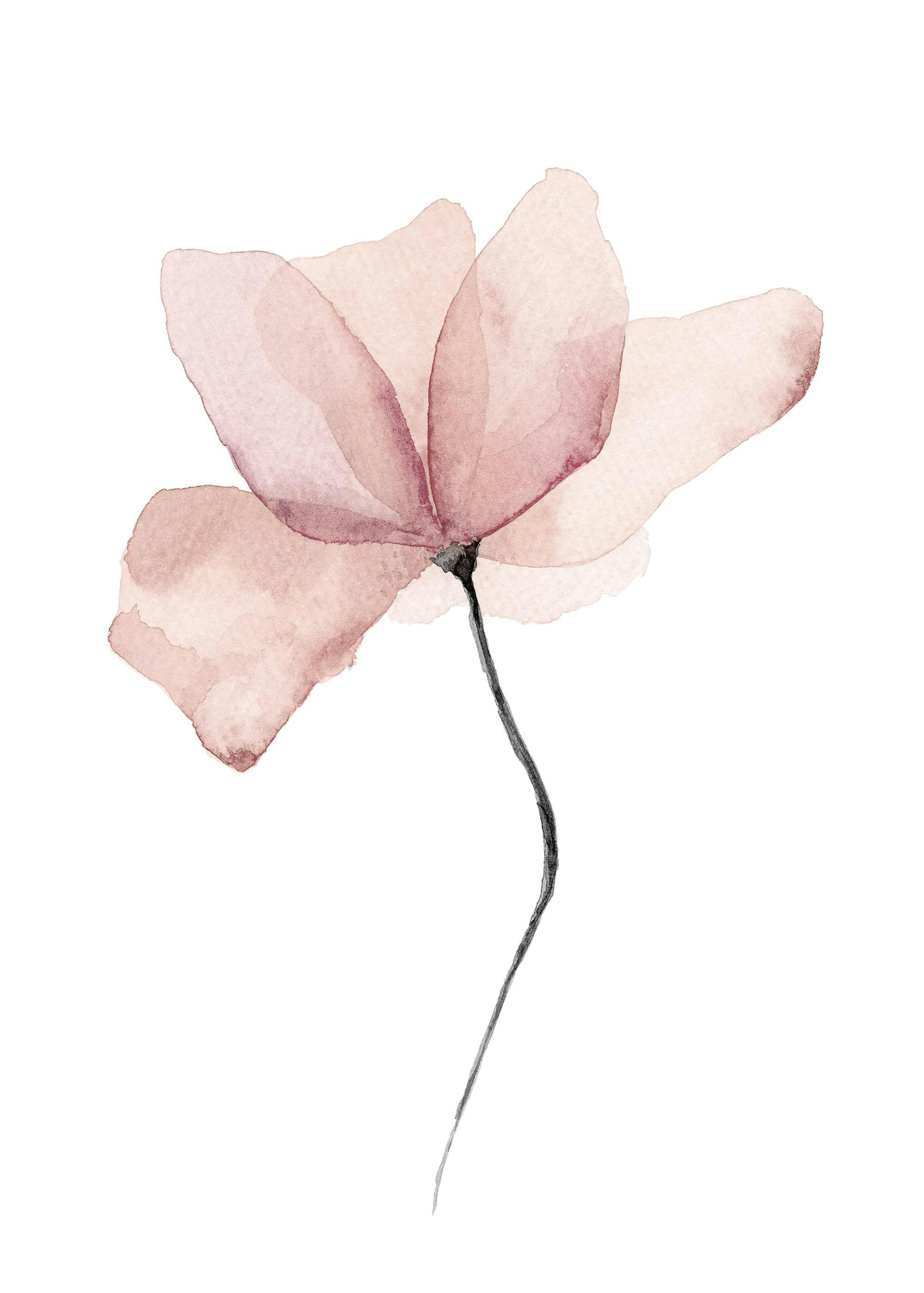 Aquarelle Flower Poster 0