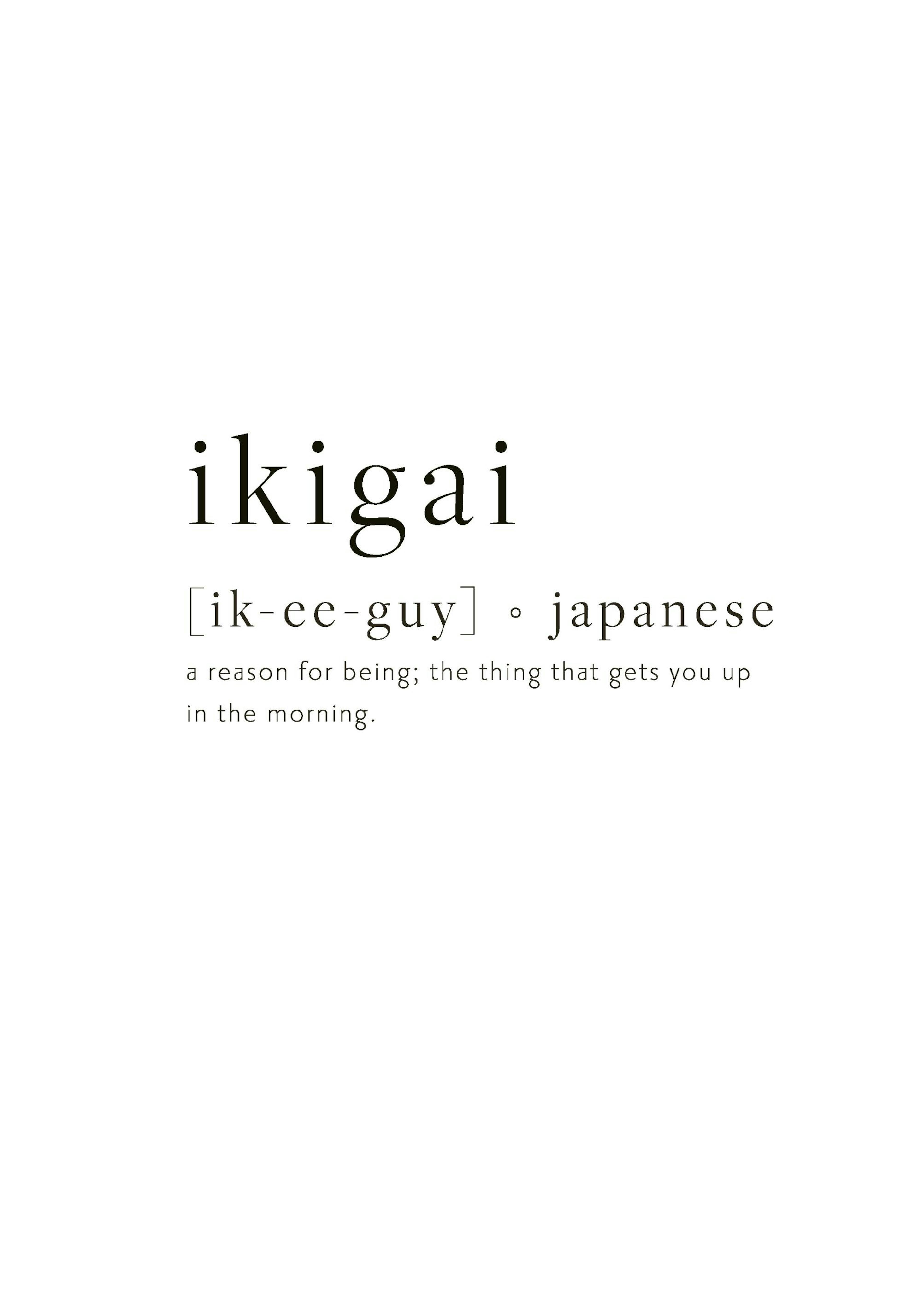 Ikigai Poster