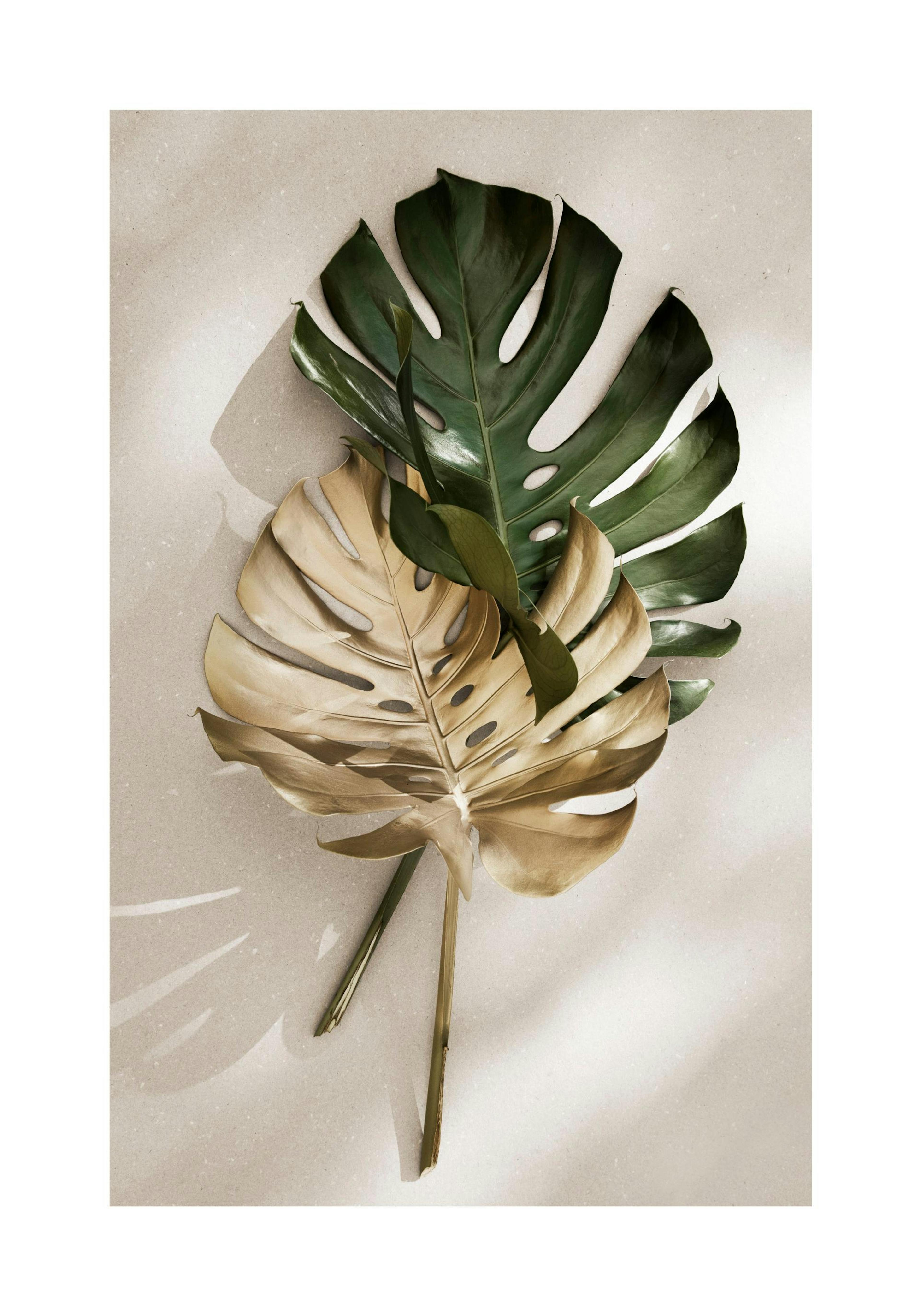 Gold Monstera No1 Print