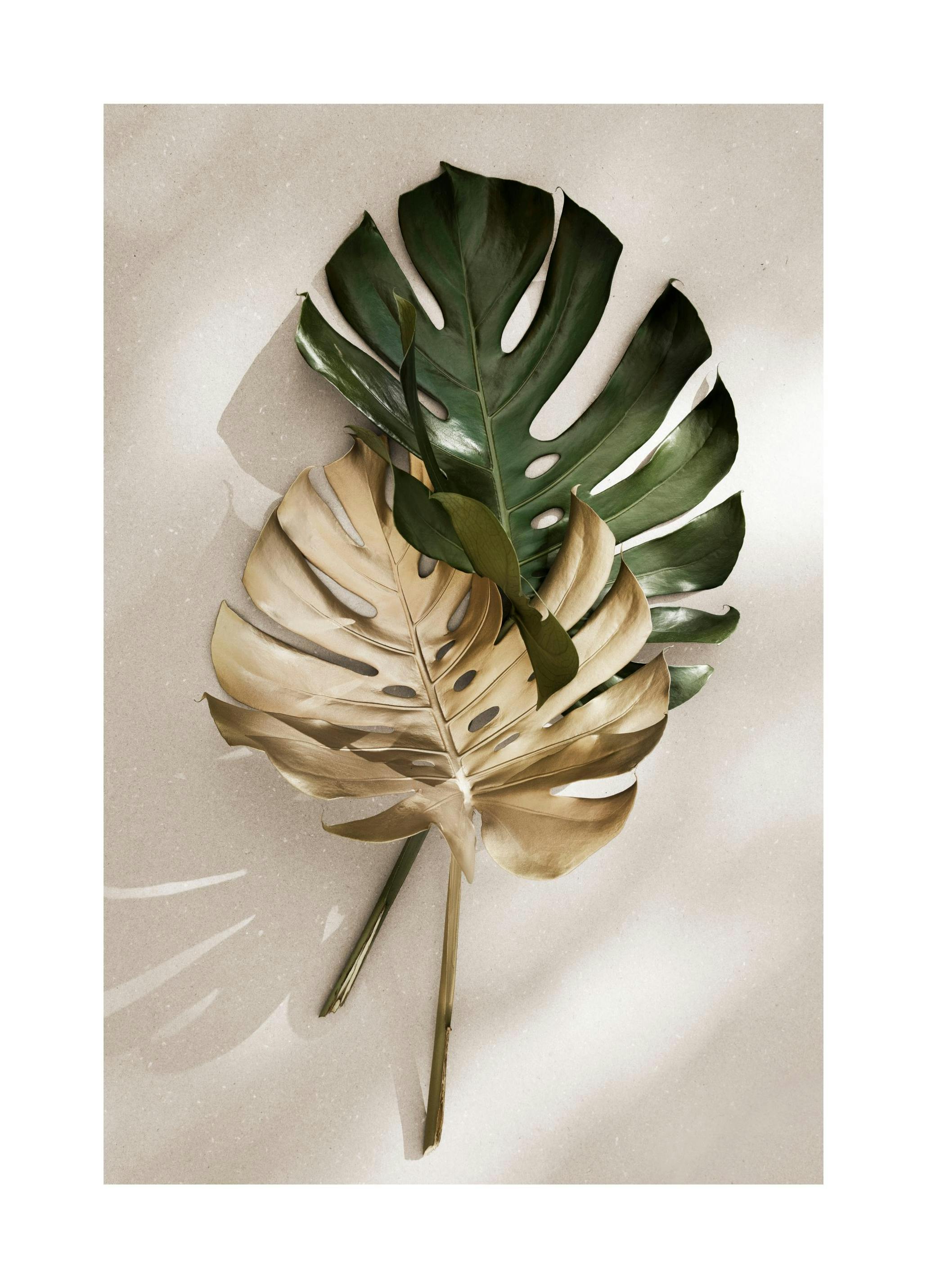 Gold Monstera No1 Affiche (30x40 cm)