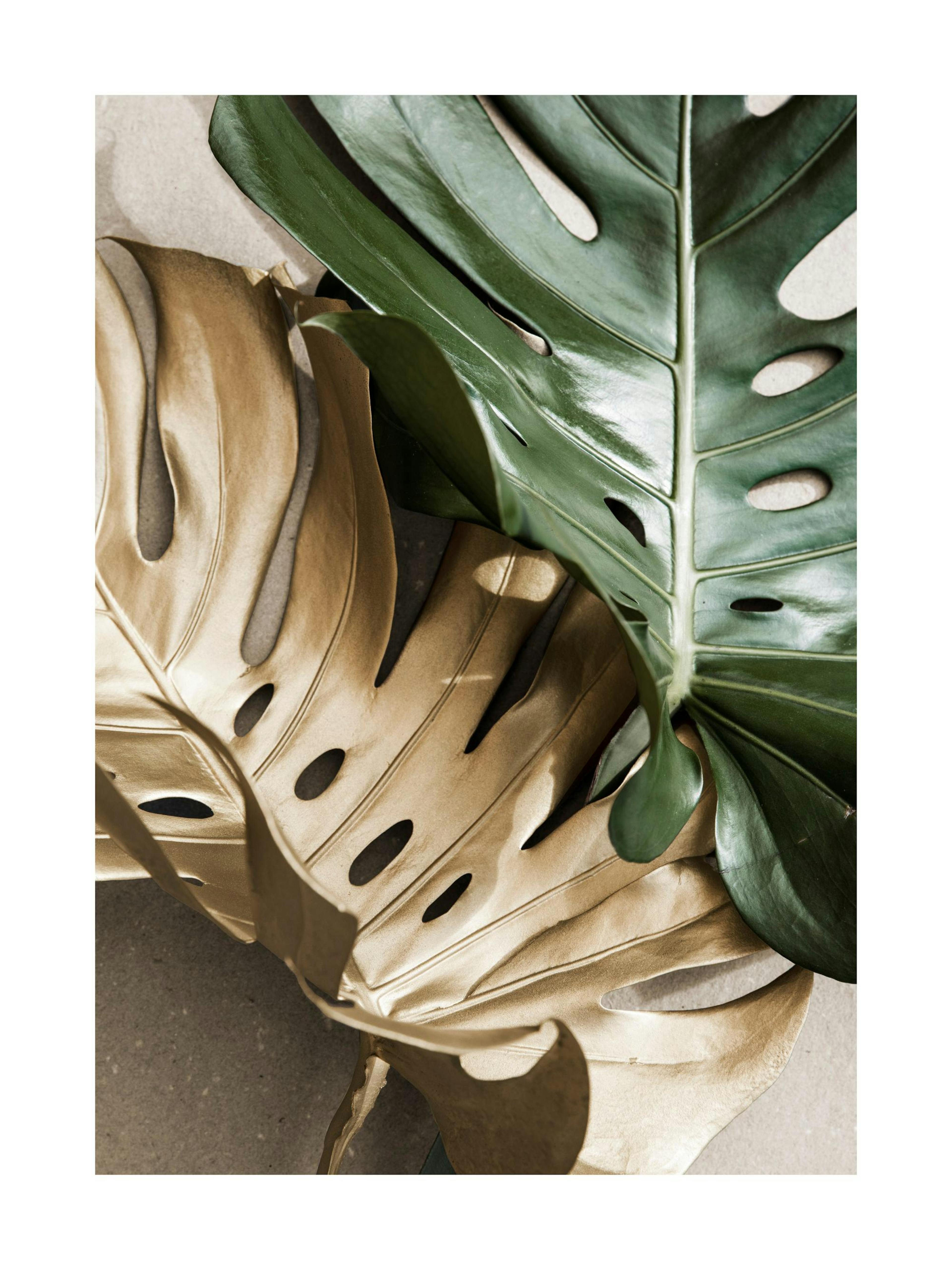 Gold Monstera No2 Print