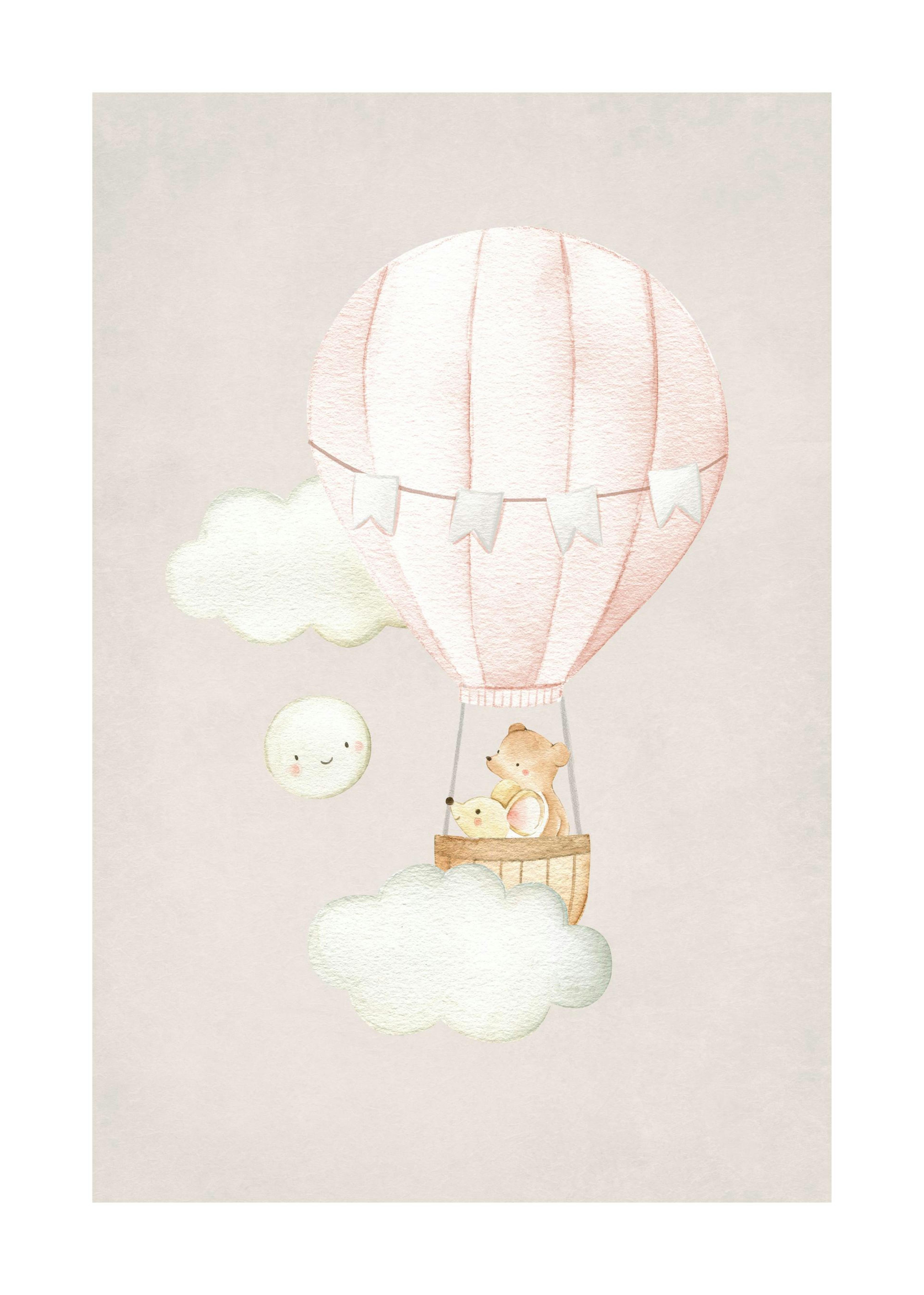 Hot Air Balloon No2 Poster 0