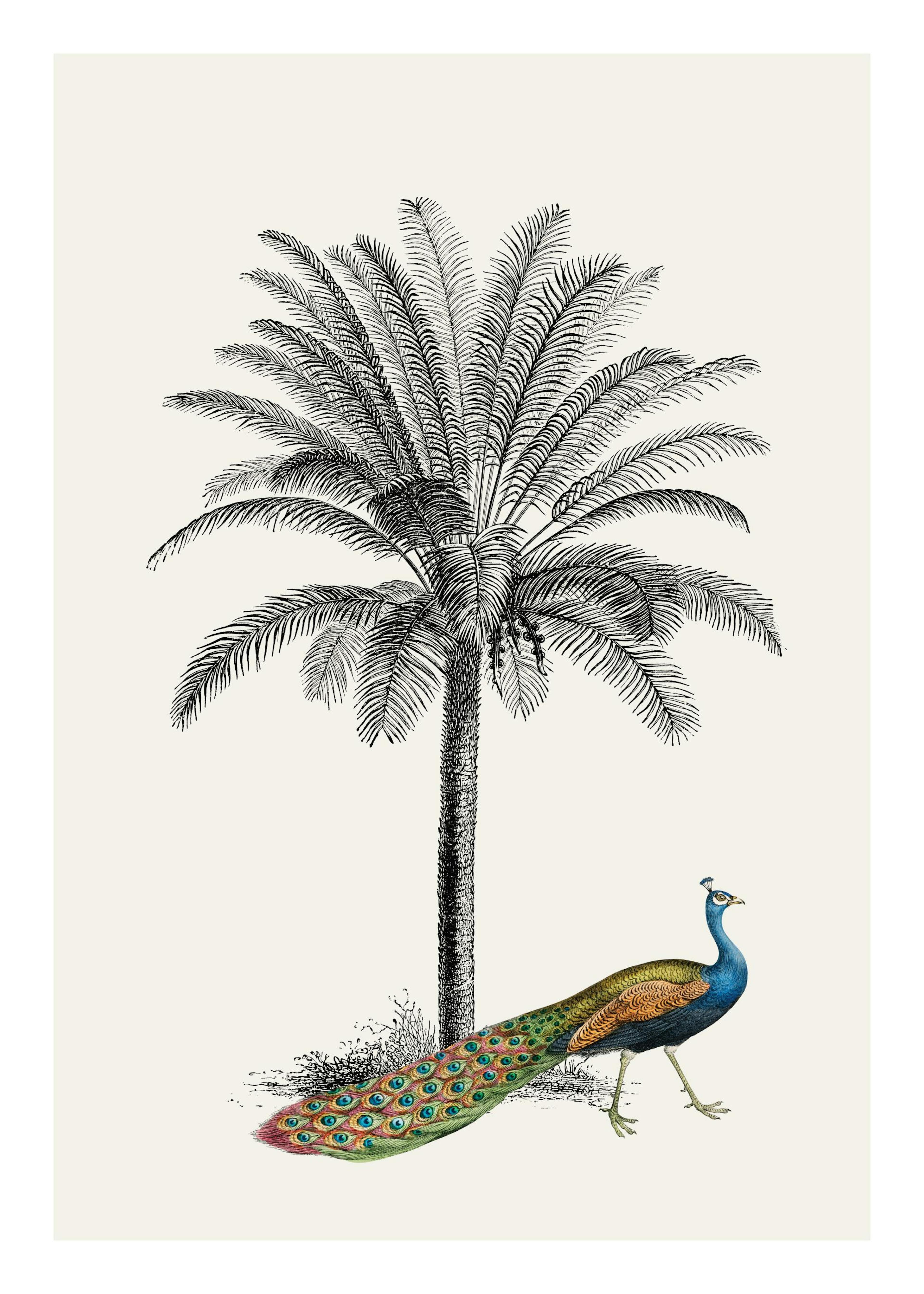 Product image: 1