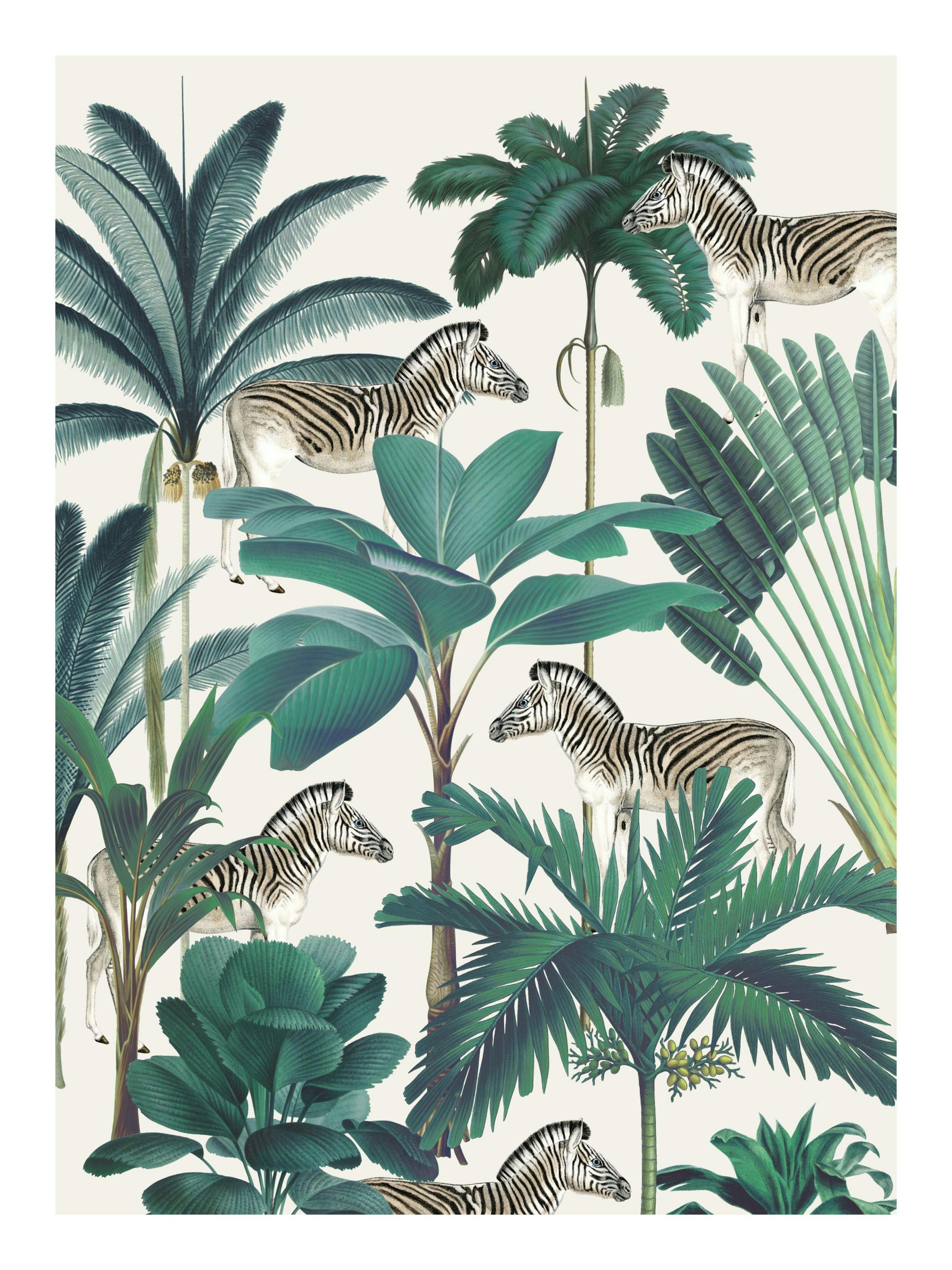 Royal Botanical Zebras Print