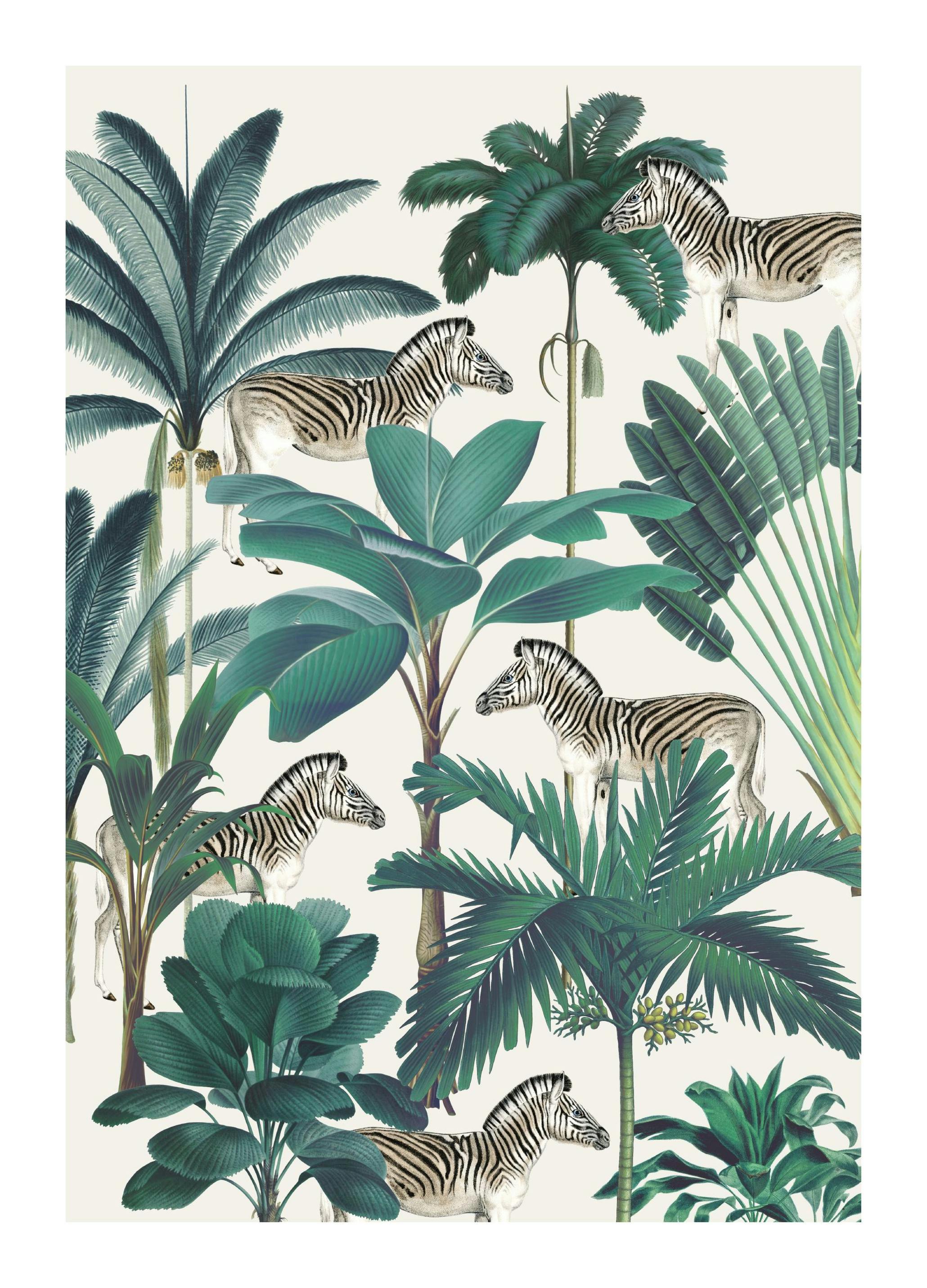 Royal Botanical Zebras Affiche (30x40 cm)  Animaux sauvages