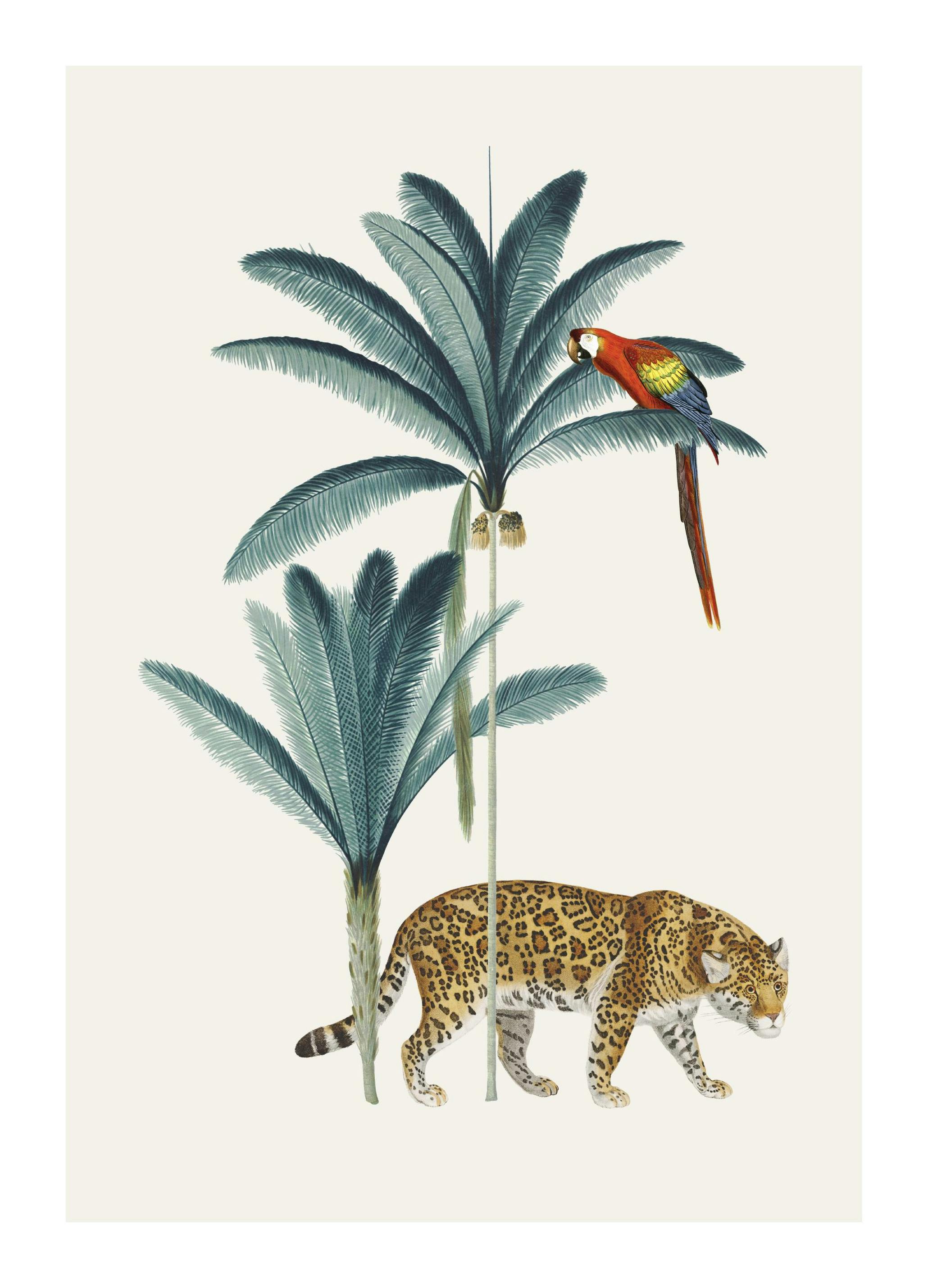 Royal Botanical Leopard Affiche (30x40 cm)  Animaux sauvages