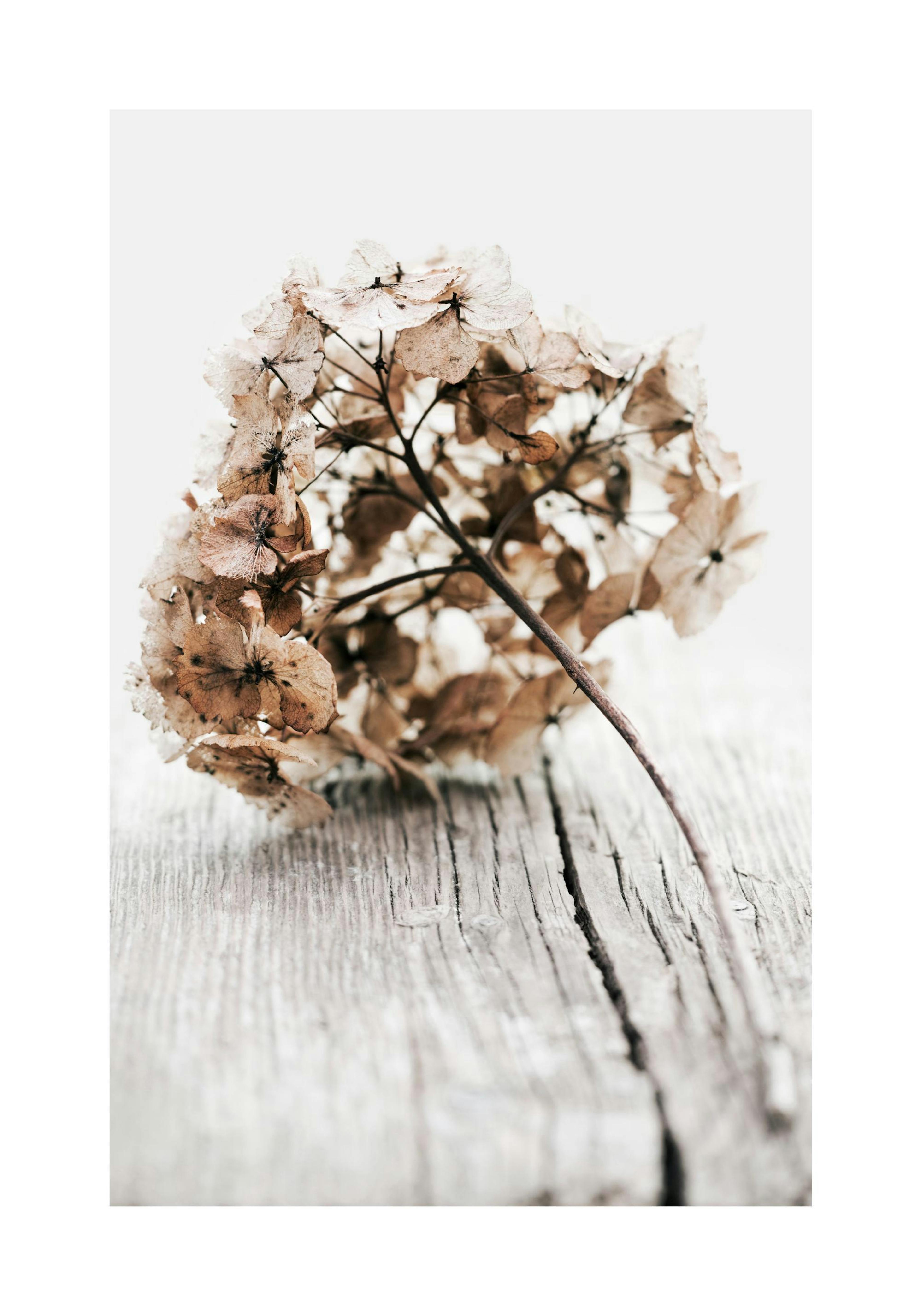 Product image: 1