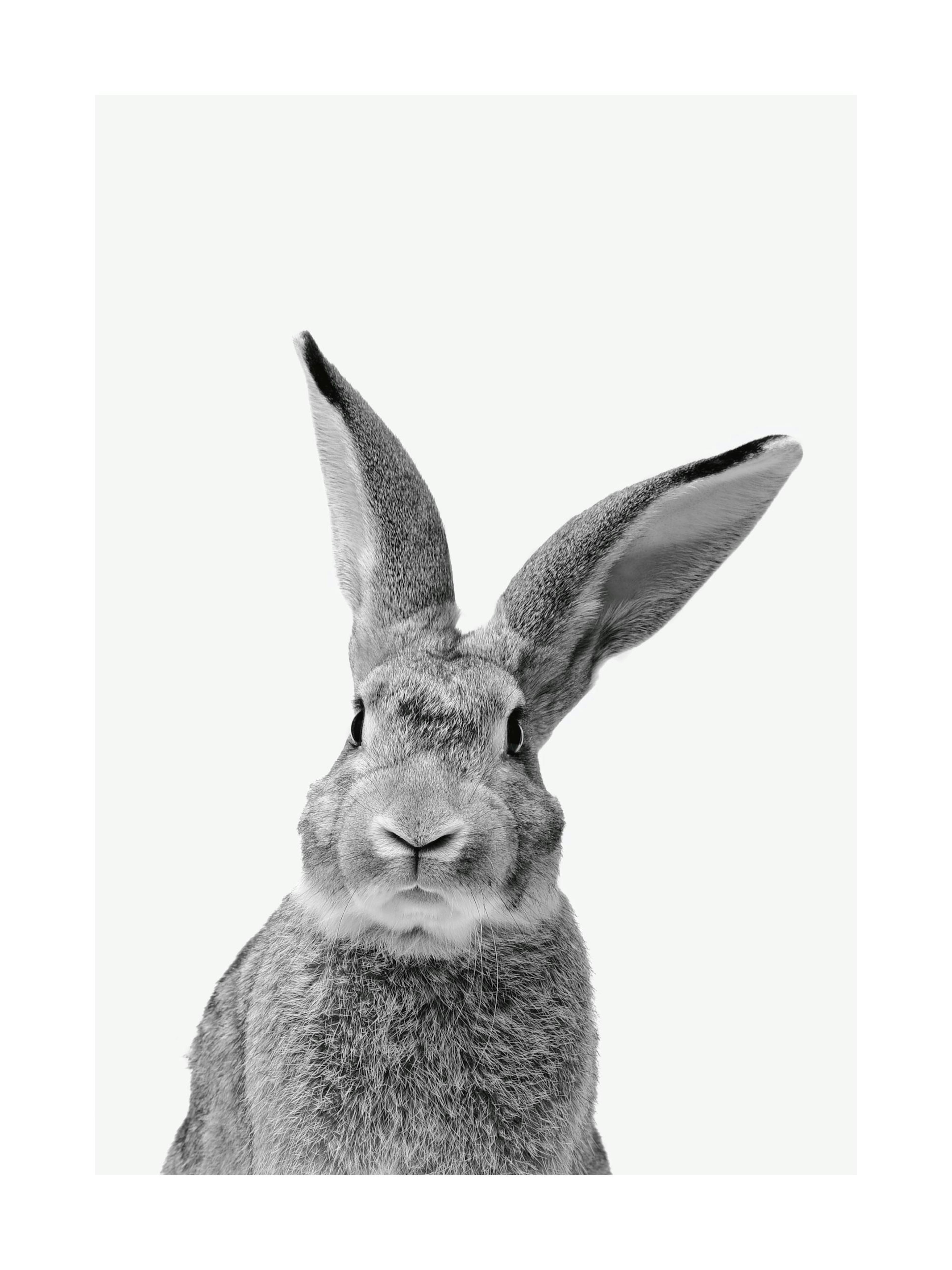 Product image: 1