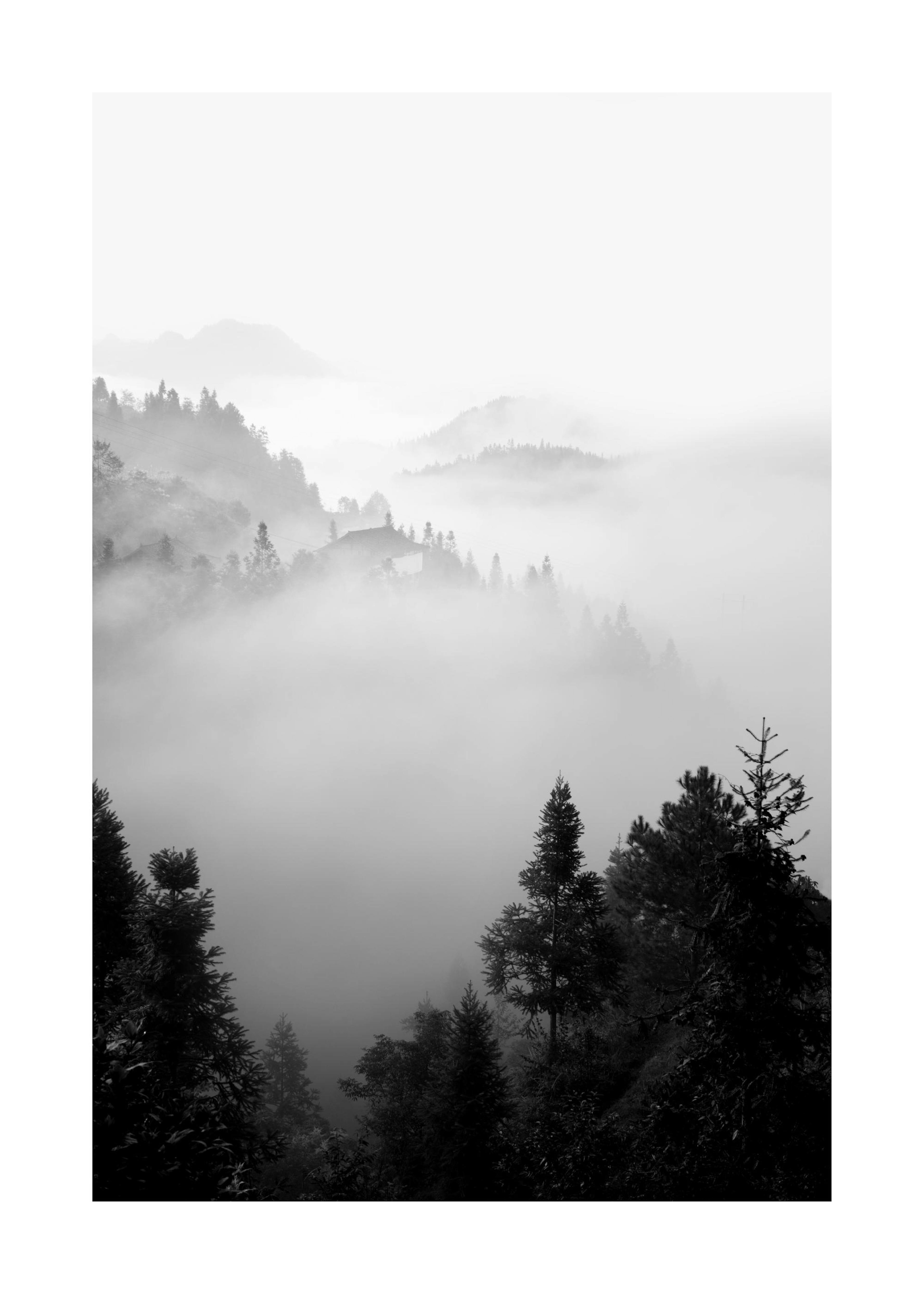 The Morning Mist Affiche 0