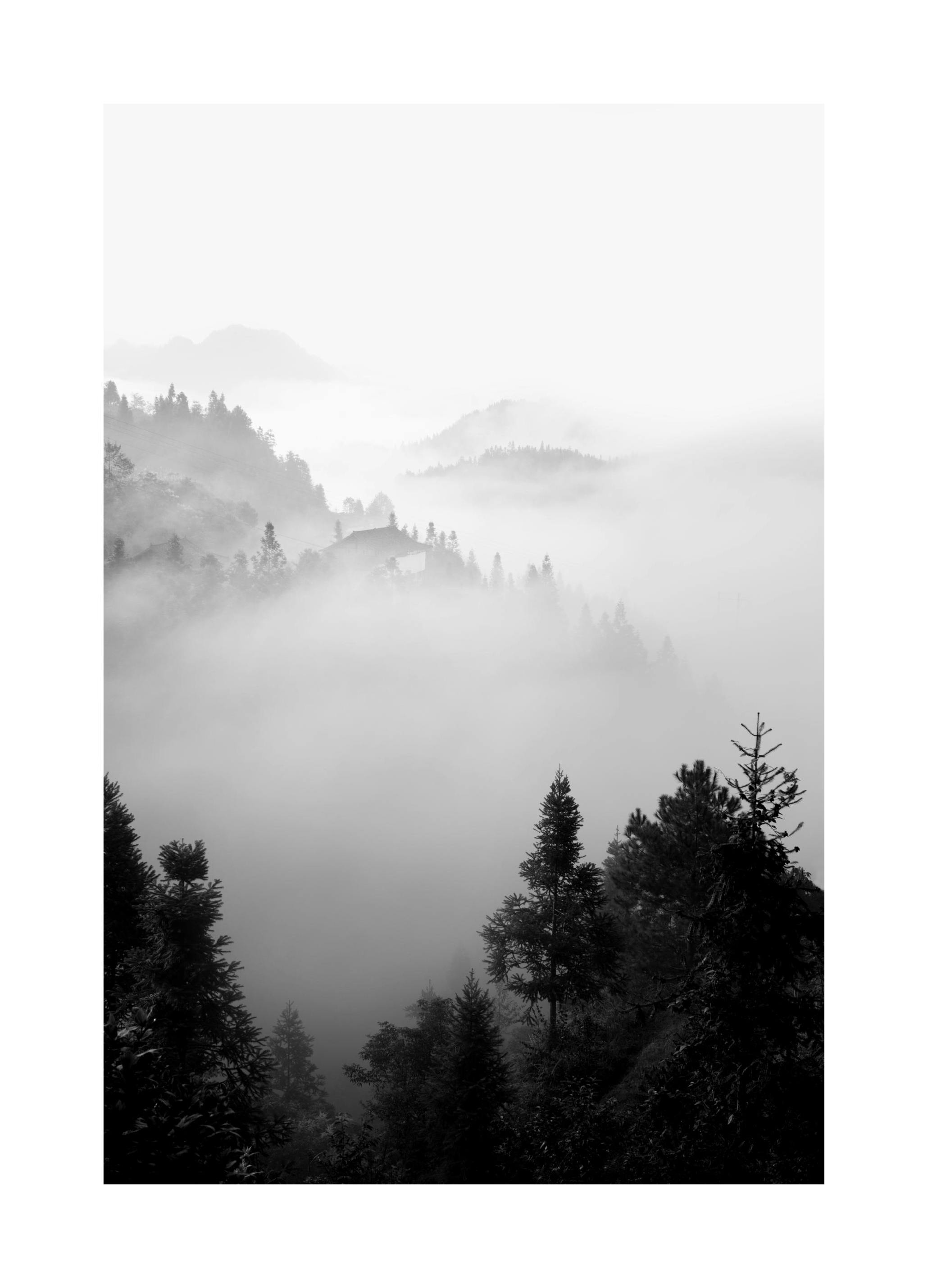 The Morning Mist Poster (30x40 cm) -  Poster mit Waldmotiven