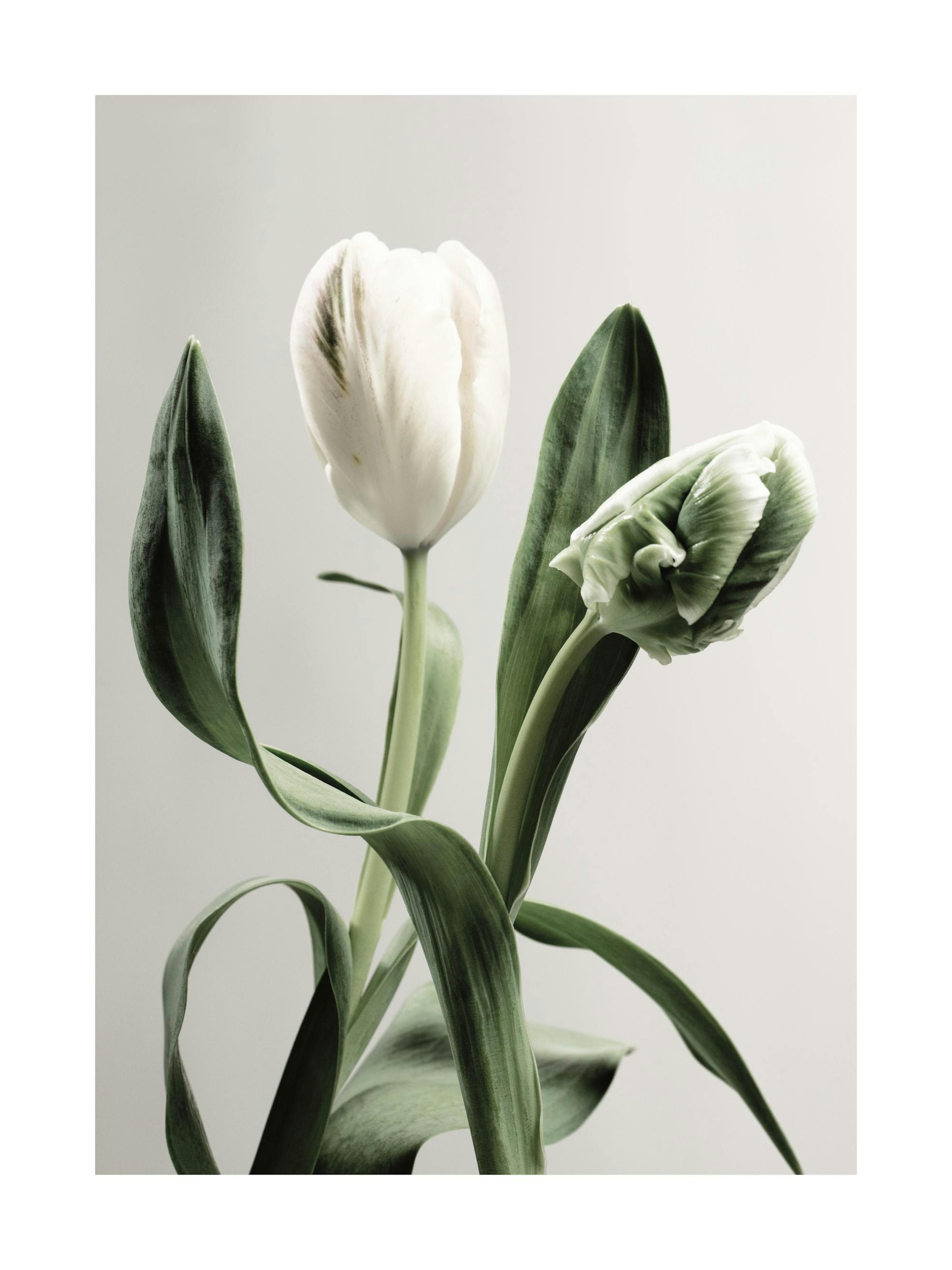 Product image: 1