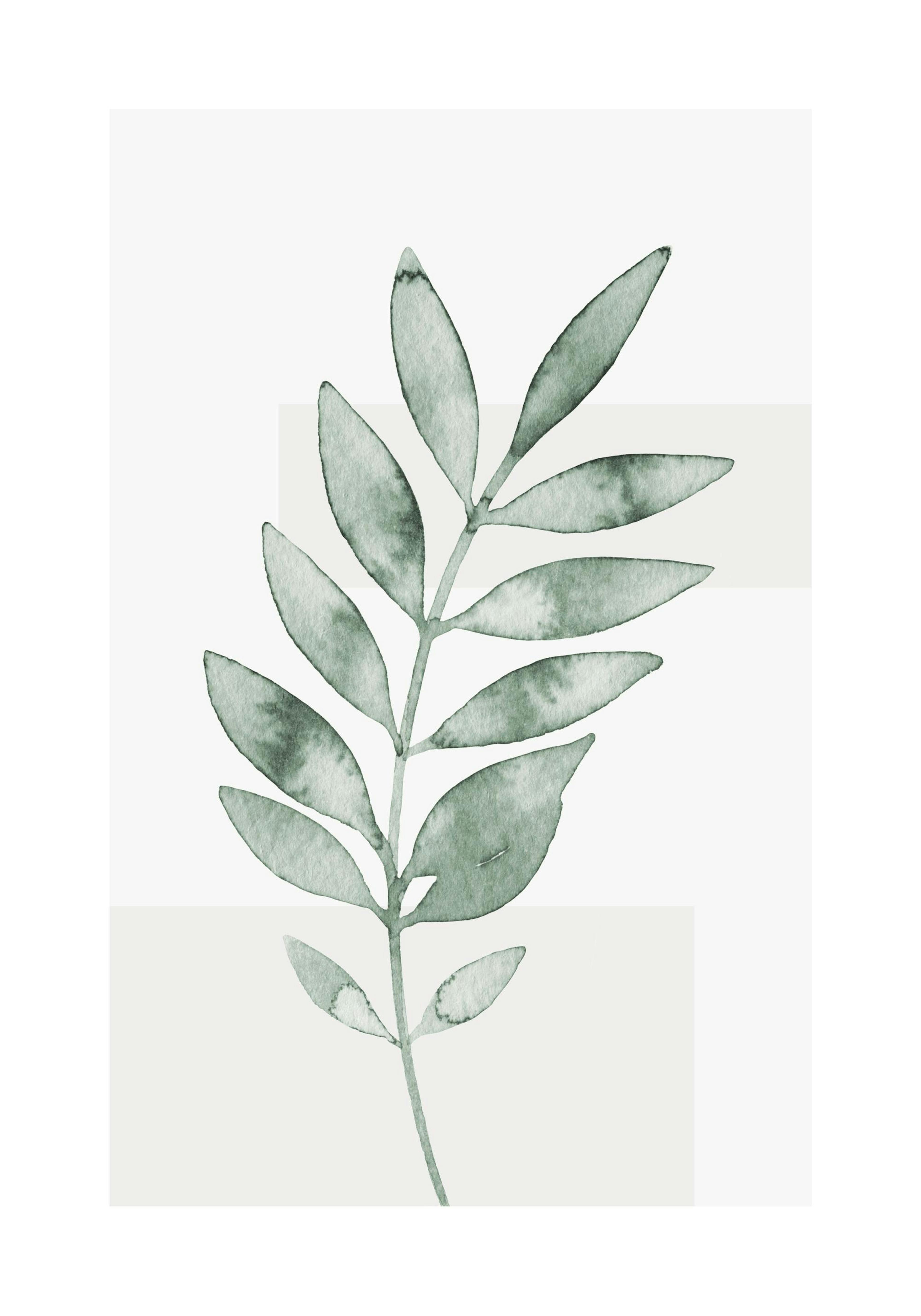 Watercolor Leaves No4 Poster