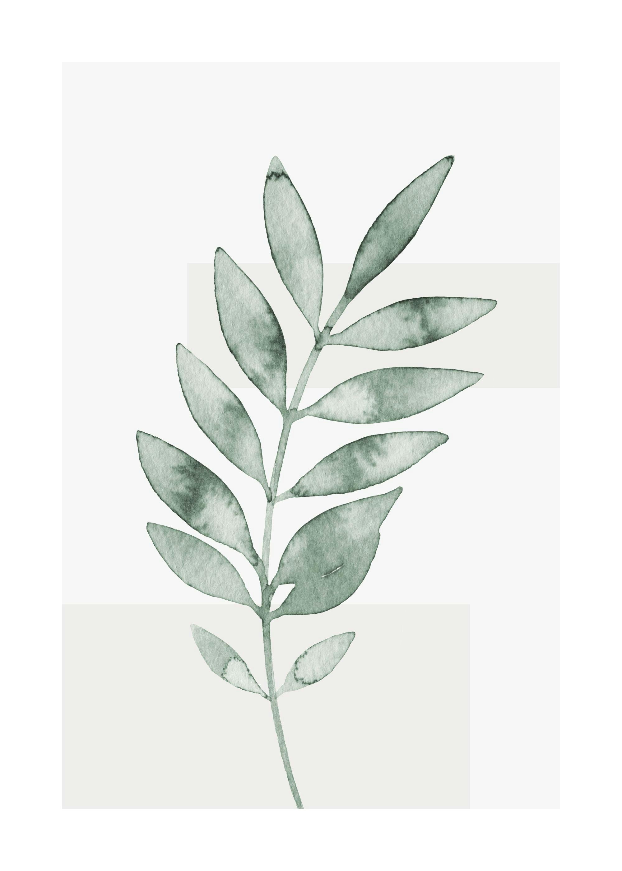 Watercolor Leaves No4 Poster 0