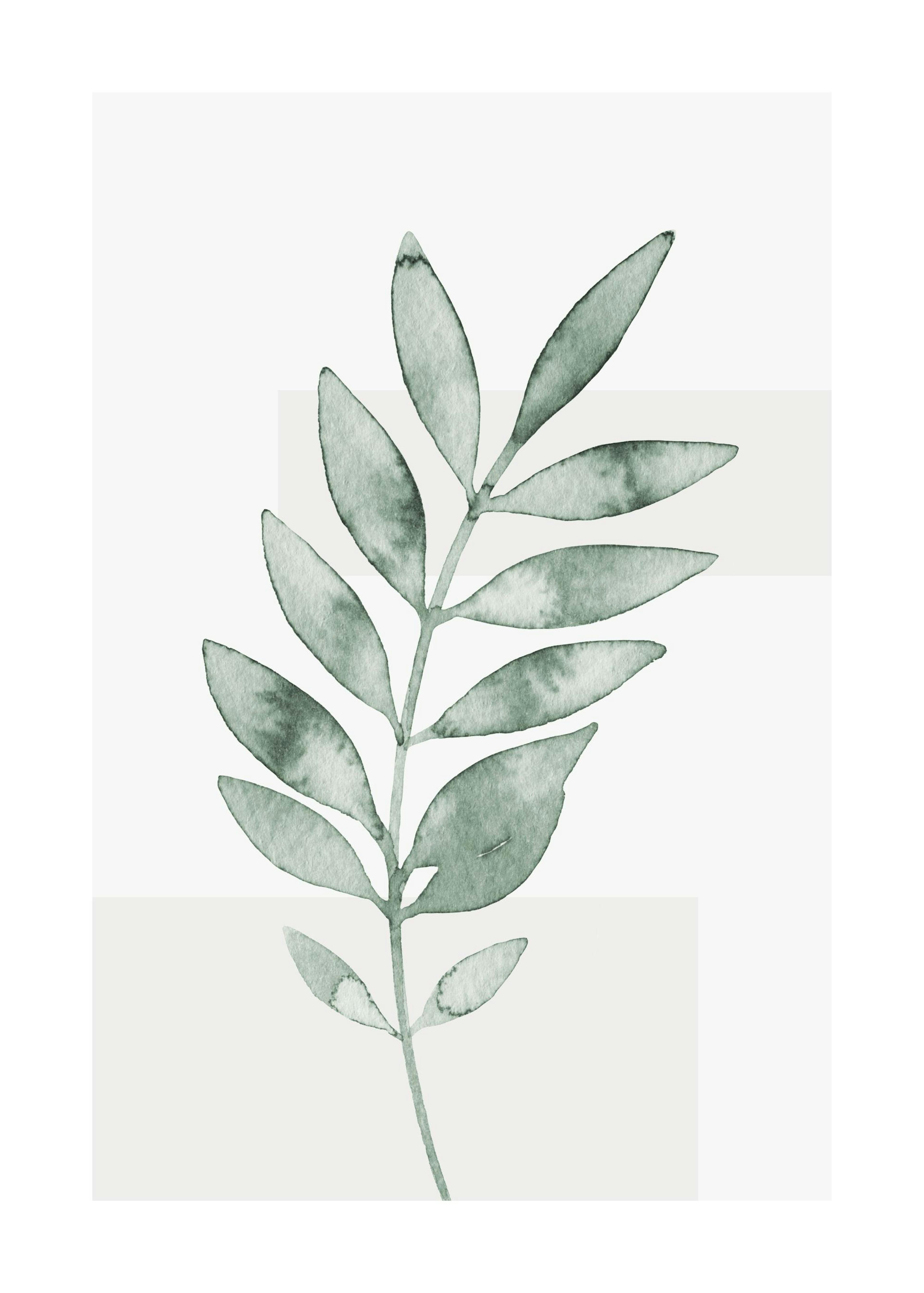 Watercolor Leaves No4 Poster 0