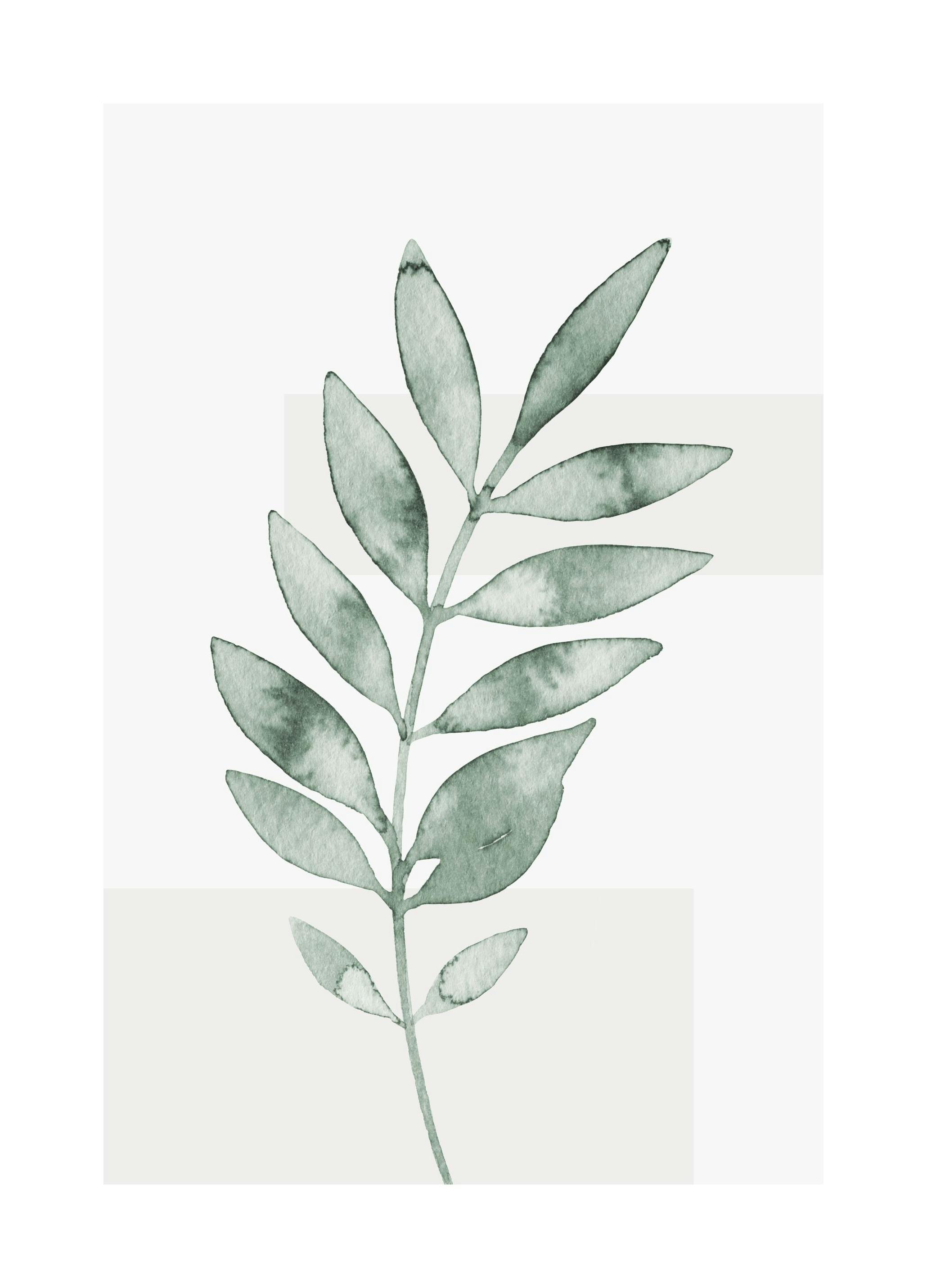 Prints - Watercolor Leaves No4 Print (30x40 cm) - Green plants posters